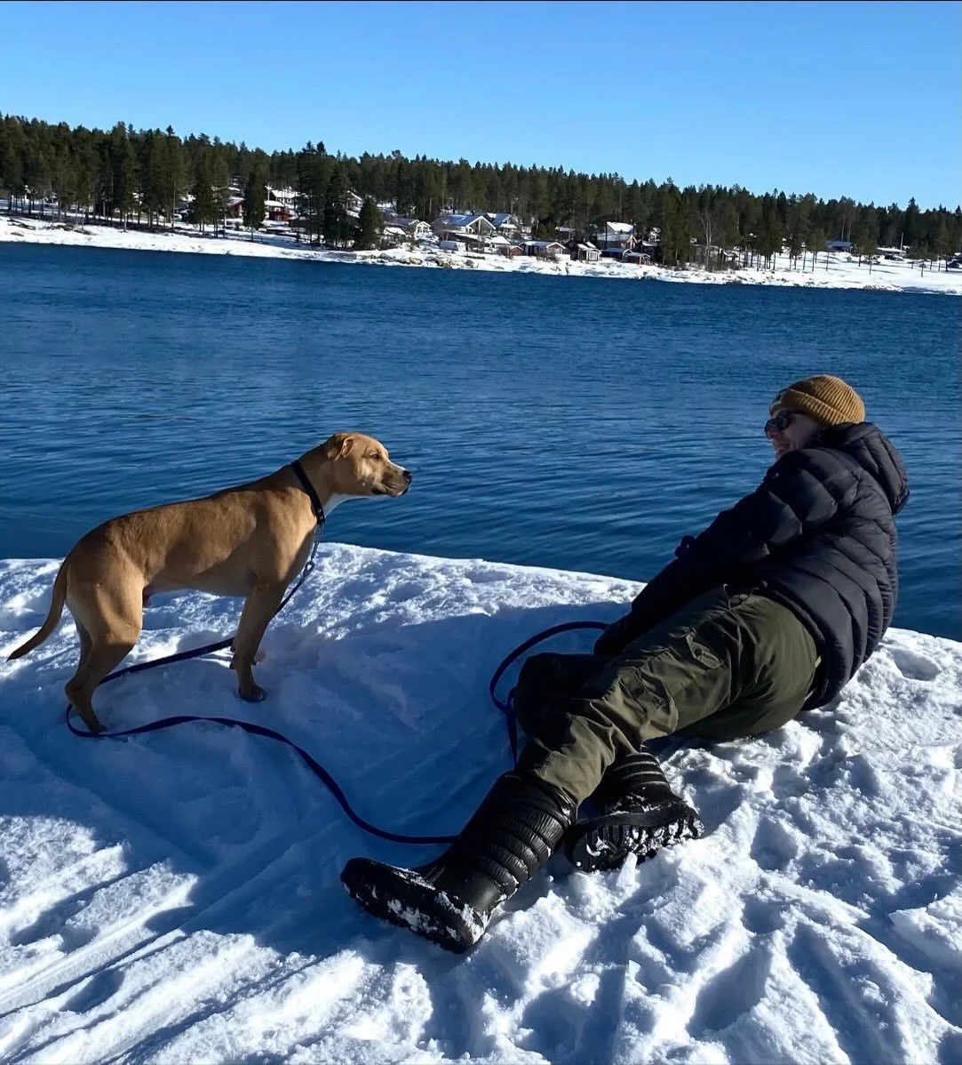 ☀️ M&Aring;NADENS SOLSKENSHISTORIA ☀️ 
H&auml;r kommer en h&auml;lsning fr&aring;n Sammis matte Jessica. Den sista videon &auml;r fr&aring;n Sammis f&ouml;rsta dag i Sverige. 

&rdquo;Sammi fd. Biskvi kom till oss n&auml;r han var runt 7 m&aring;nade