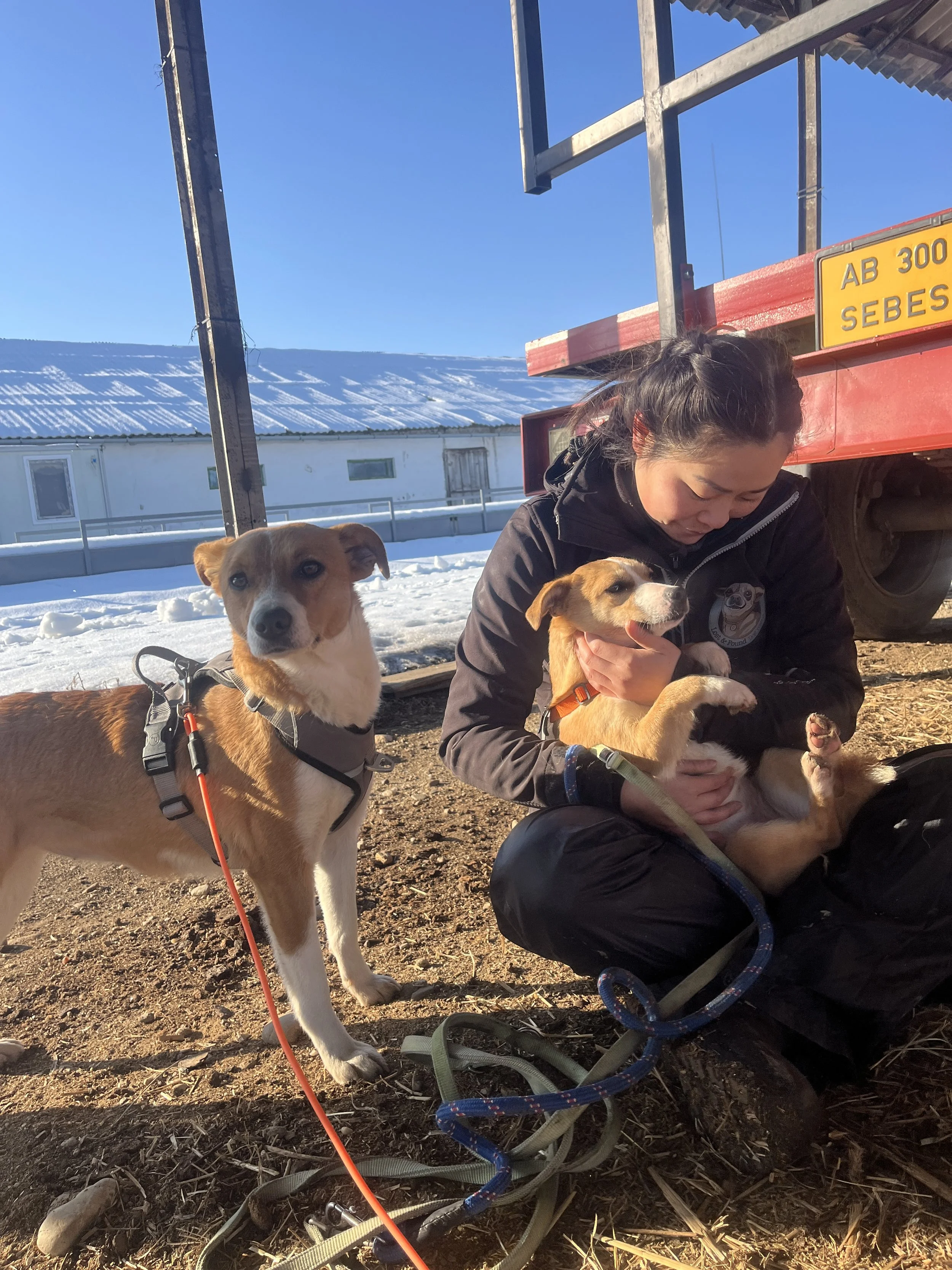 Ada & Gima_IMG_2039.JPG