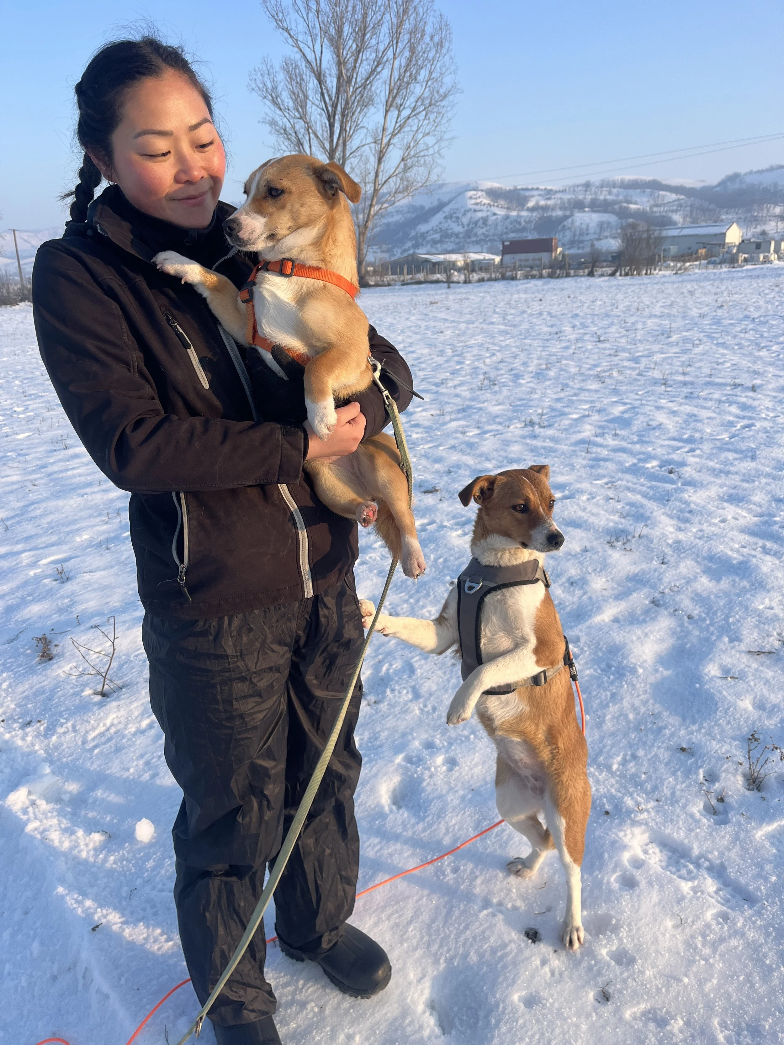 Ada & Gima_IMG_2521.JPG