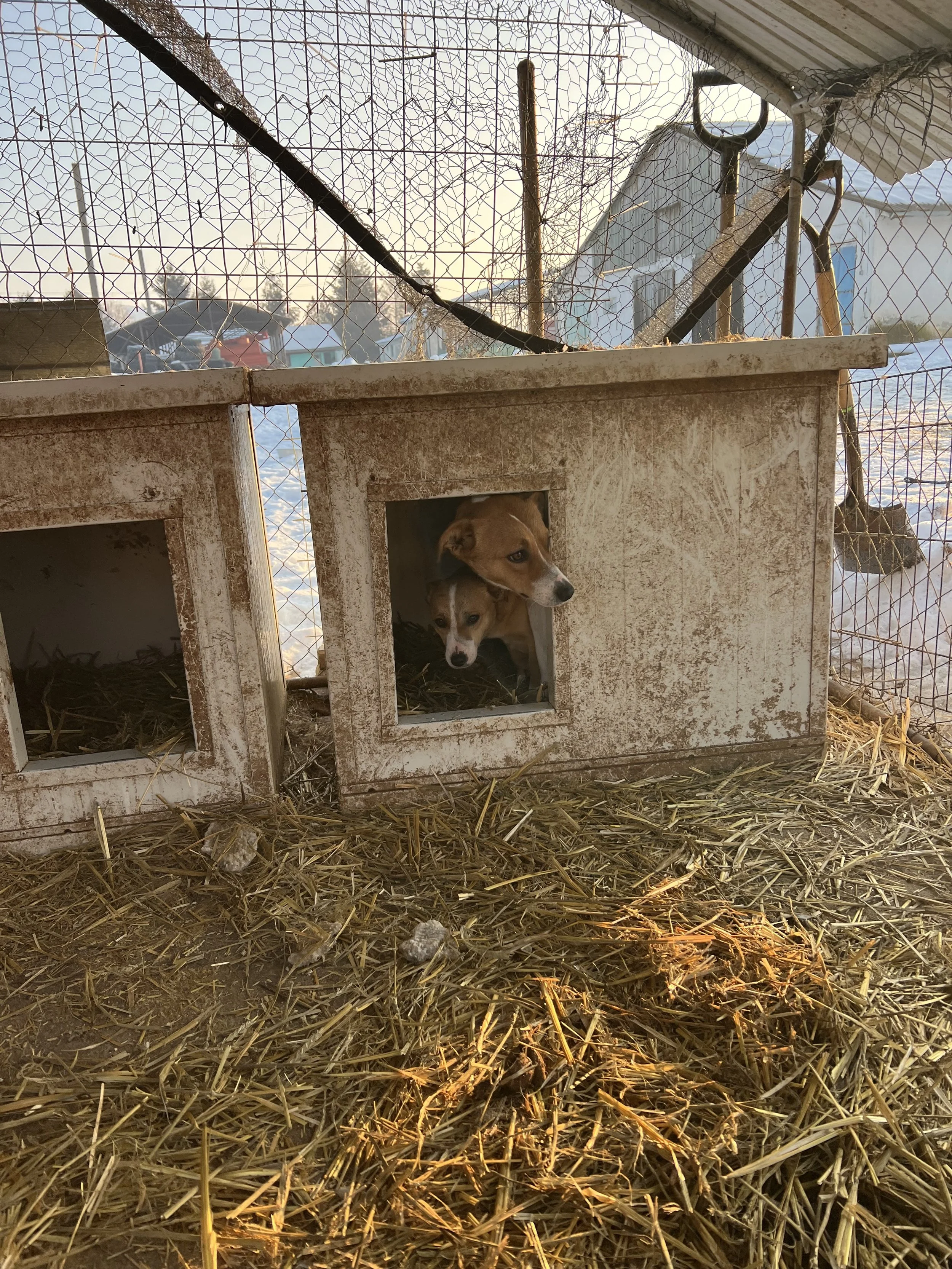 Ada & Gima_IMG_2245.jpg