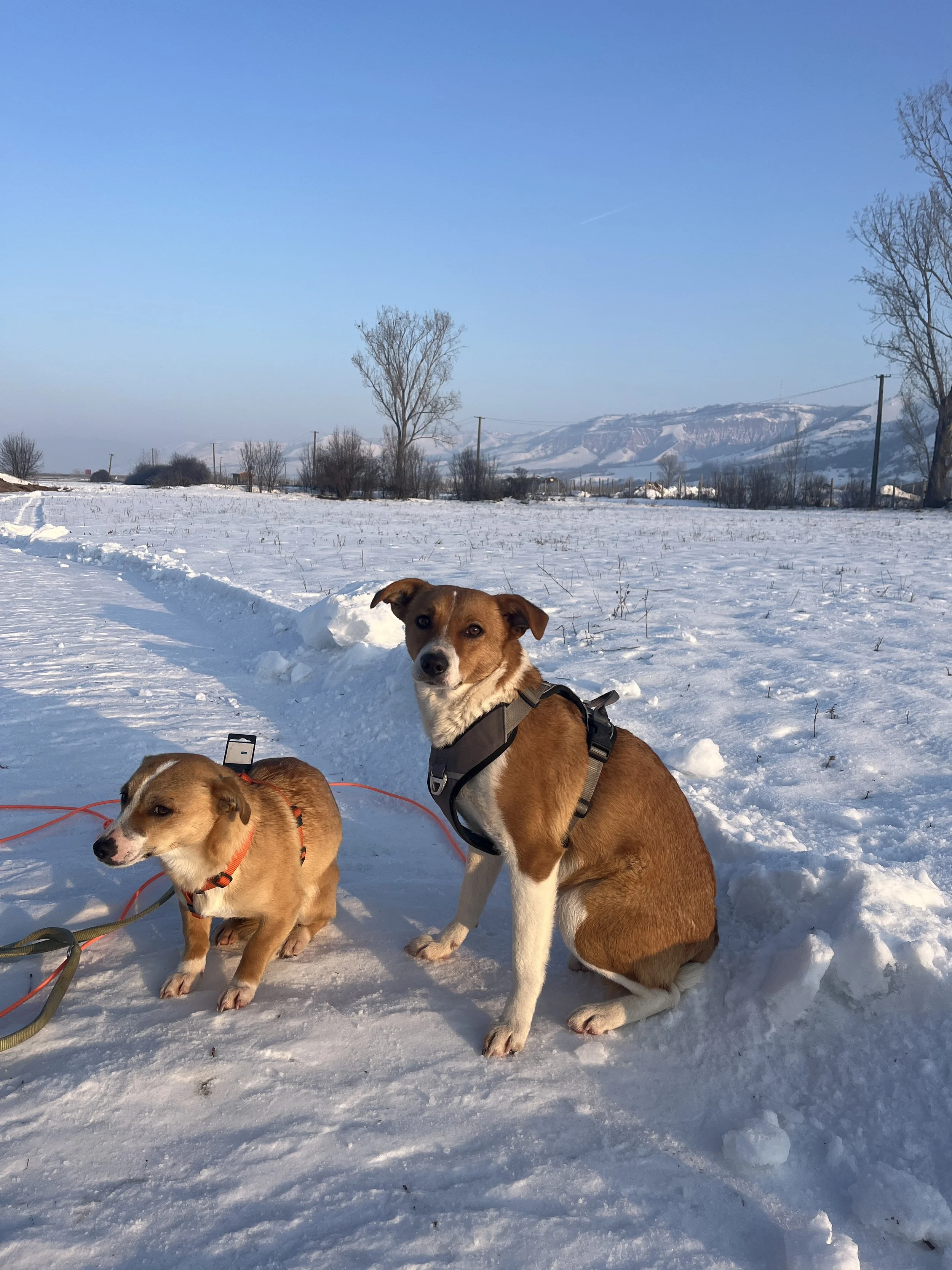 Ada & Gima_IMG_2550.JPG