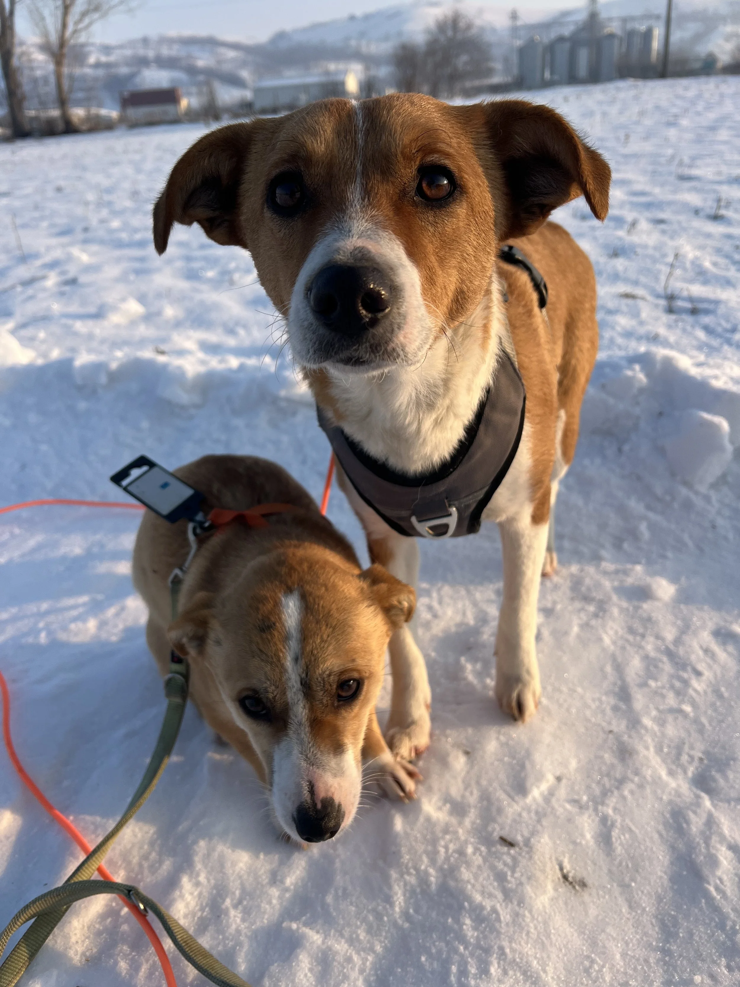 Ada & Gima_IMG_2206.jpg