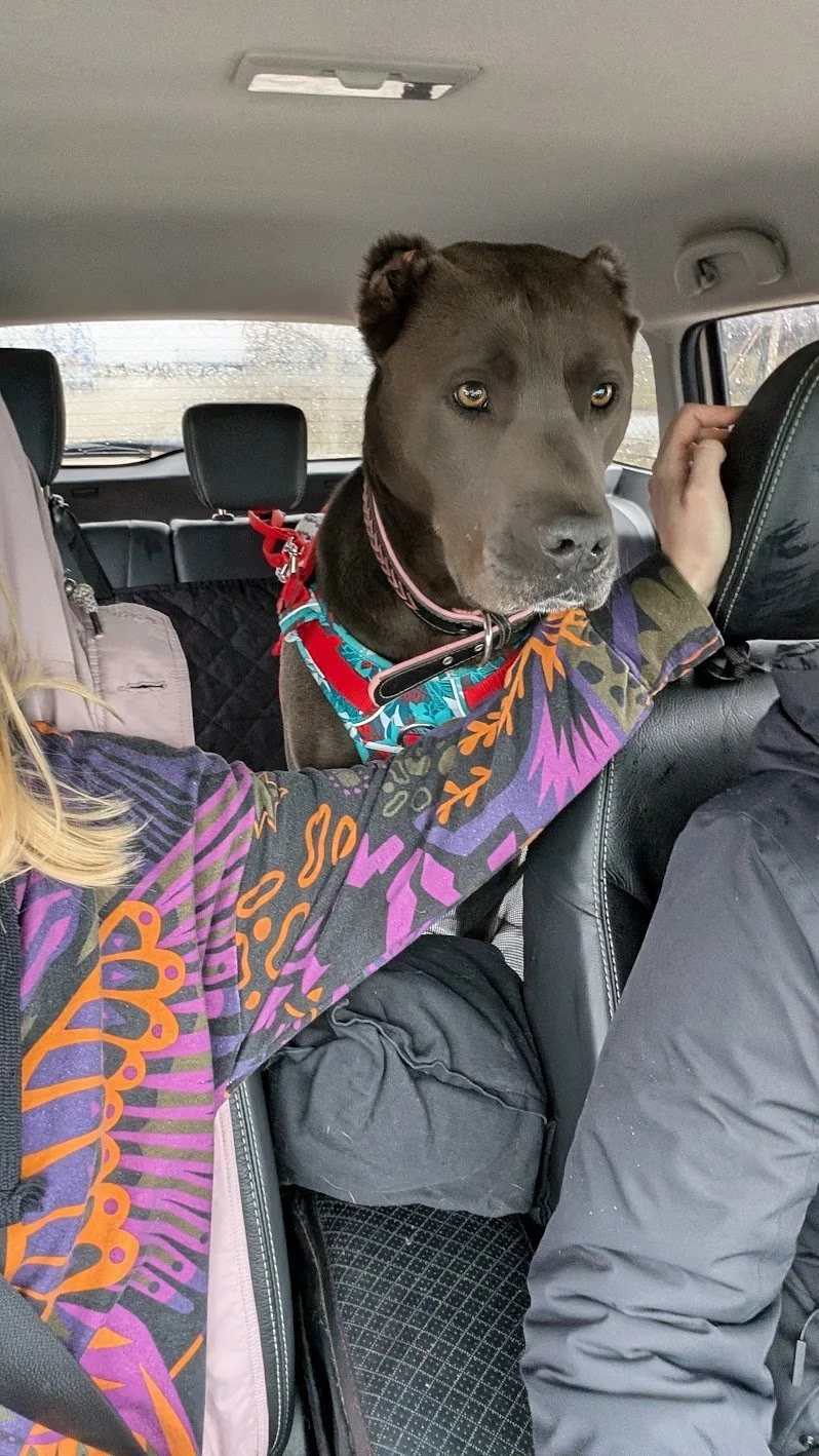 Stella_PXL_20260215_083308168.jpg