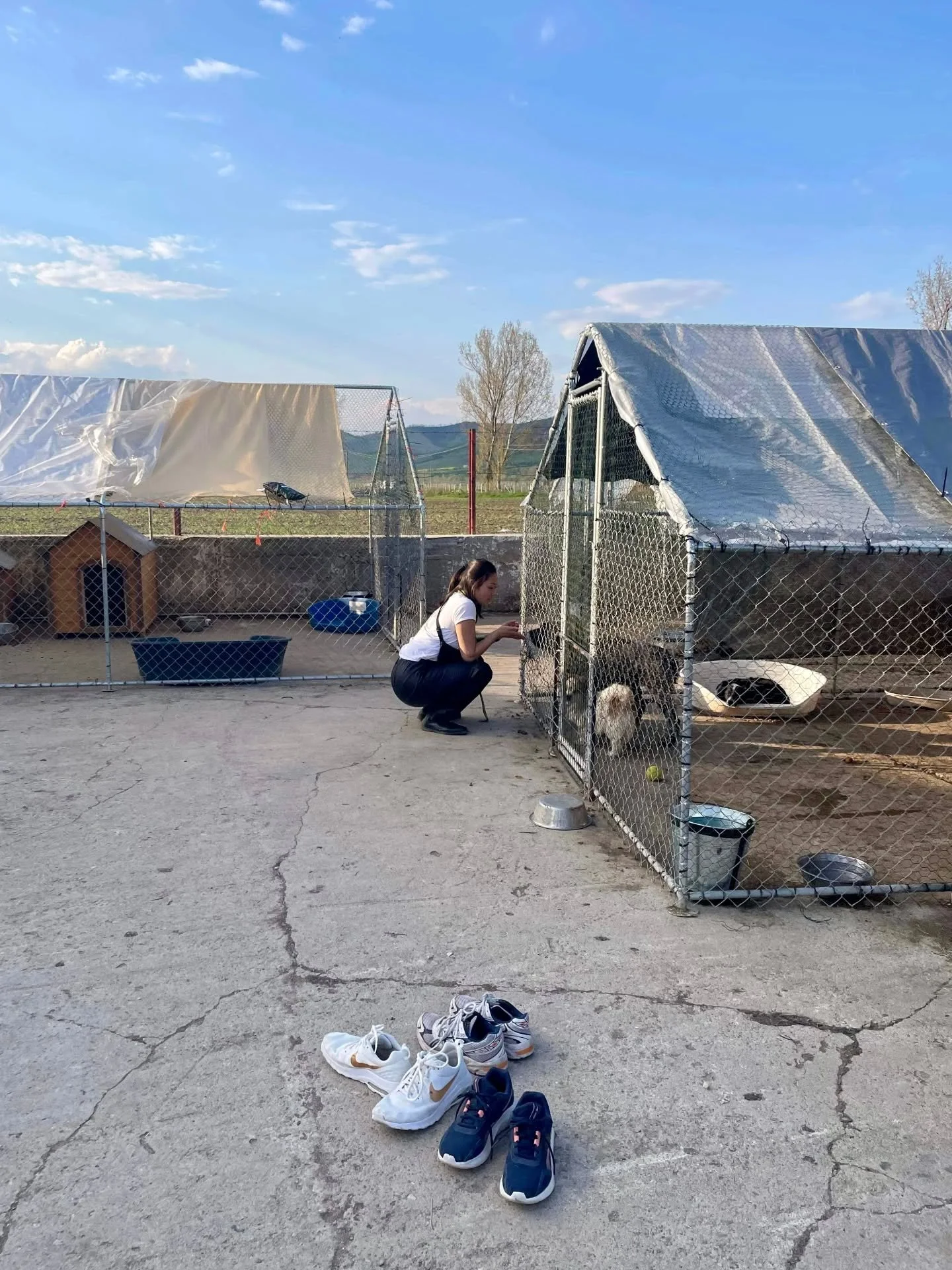 ❤️ HELGTIAN ❤️

Om en vecka &aring;ker vi ner till Rum&auml;nien igen, &Auml;NTLIGEN! 

Inf&ouml;r resan vill vi att helgtian g&aring;r direkt till det som faktiskt beh&ouml;vs n&auml;r vi &auml;r p&aring; plats.
Det kan vara foder, mediciner, halm, 