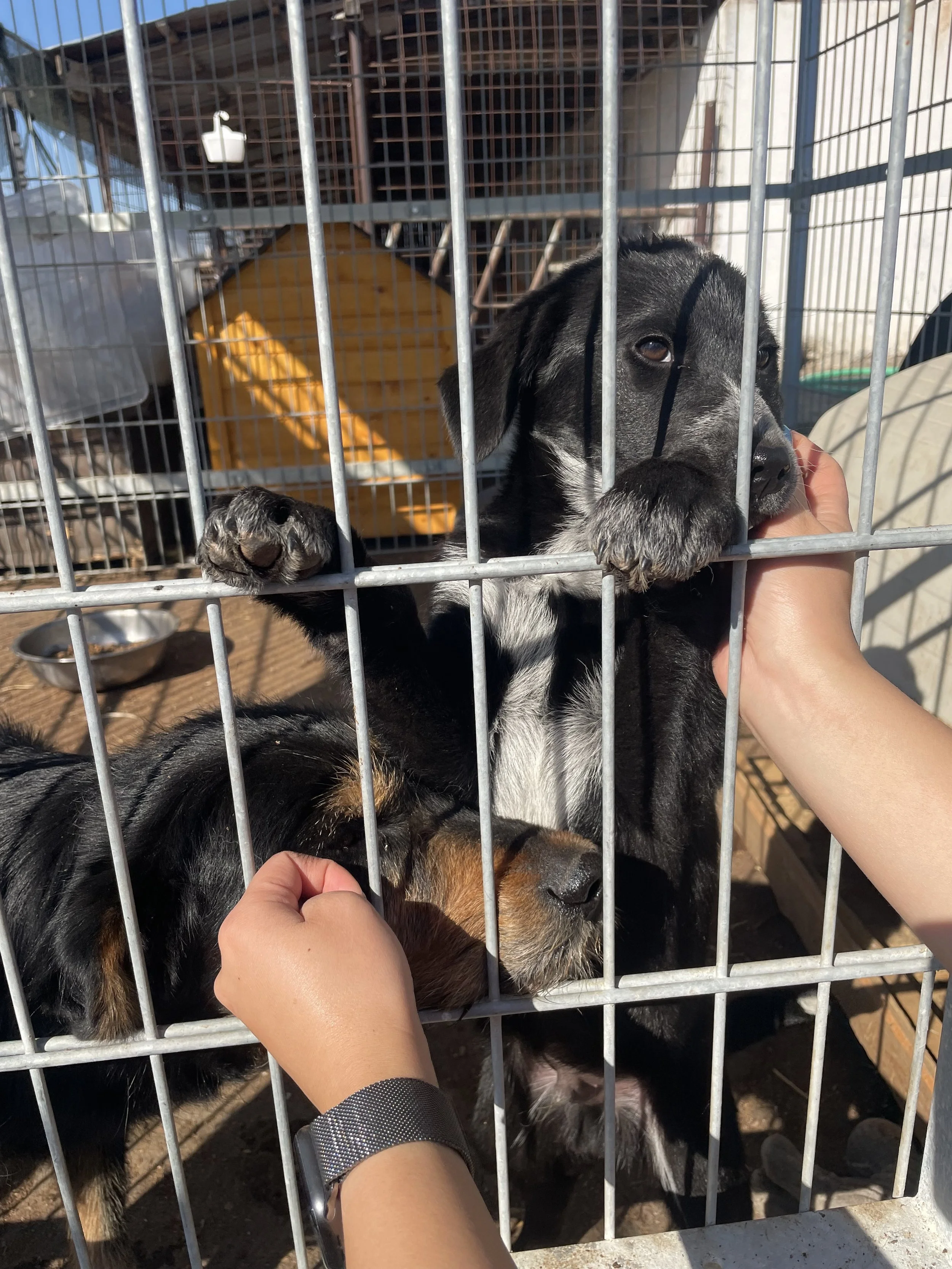 Marcus & Tjabo_IMG_6295.jpg