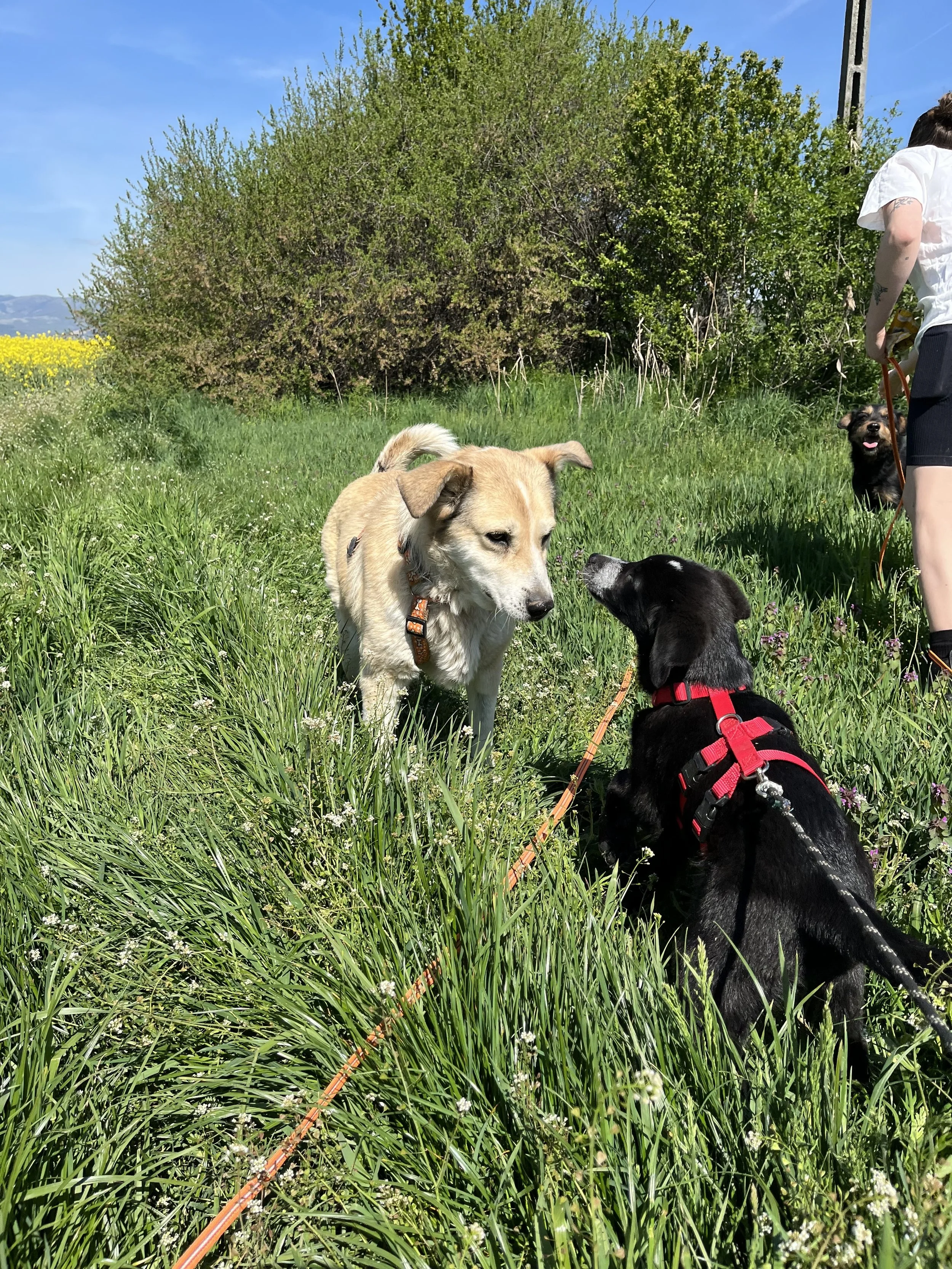 Judith & Marcus_IMG_5976.jpg