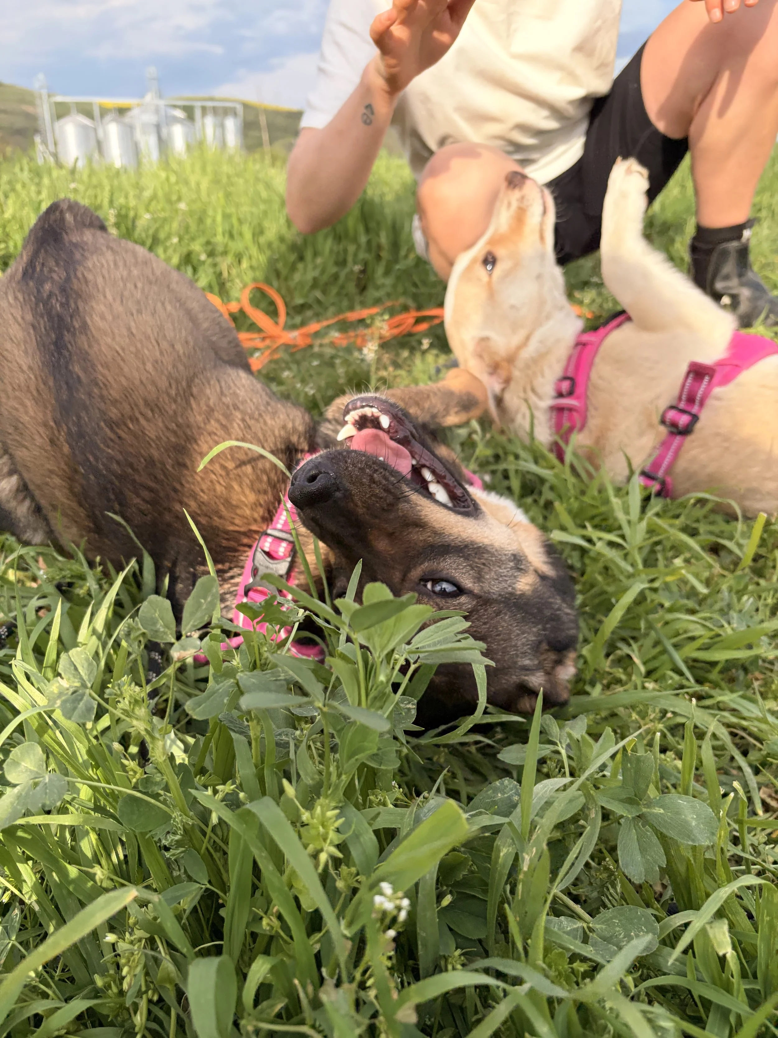 Ella & Greta_IMG_1761.jpg