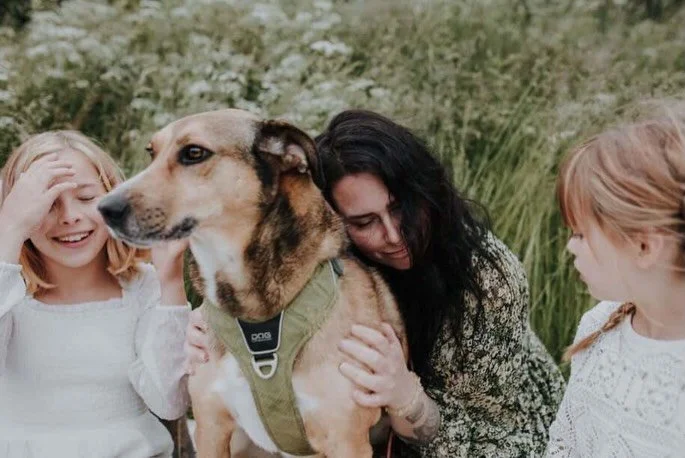 ☀️ M&Aring;NADENS SOLSKENSHISTORIA ☀️ 
Har kommer en h&auml;lsning fr&aring;n Unos familj. Sista bilden &auml;r ifr&aring;n n&auml;r han hittades p&aring; gatan i Rum&auml;nien.

&rdquo;Uno ❤️

N&auml;r Uno &auml;ntligen landade i Sverige den 10 sept