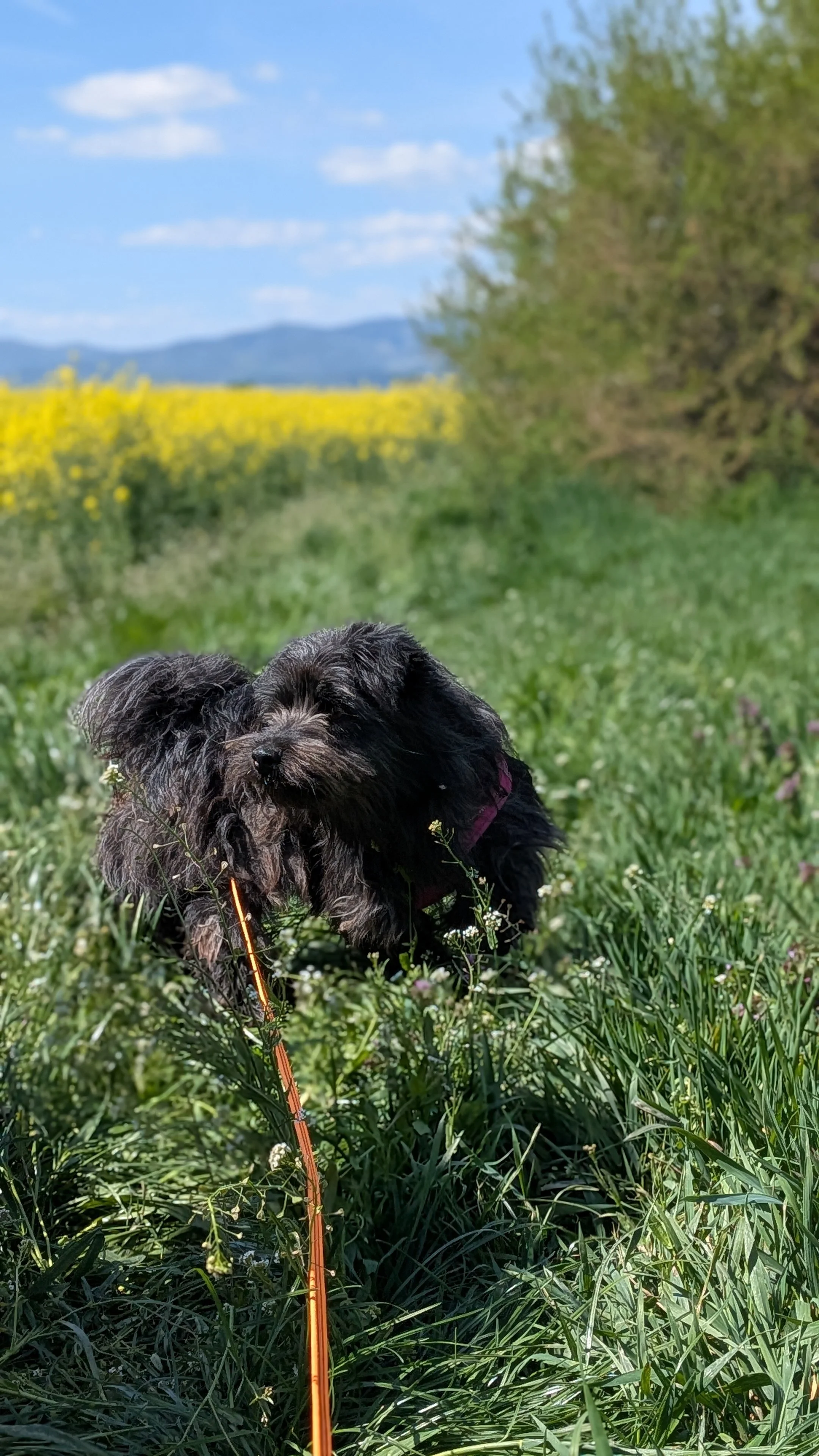 Ebbe_PXL_20260419_113238880.PORTRAIT.jpg