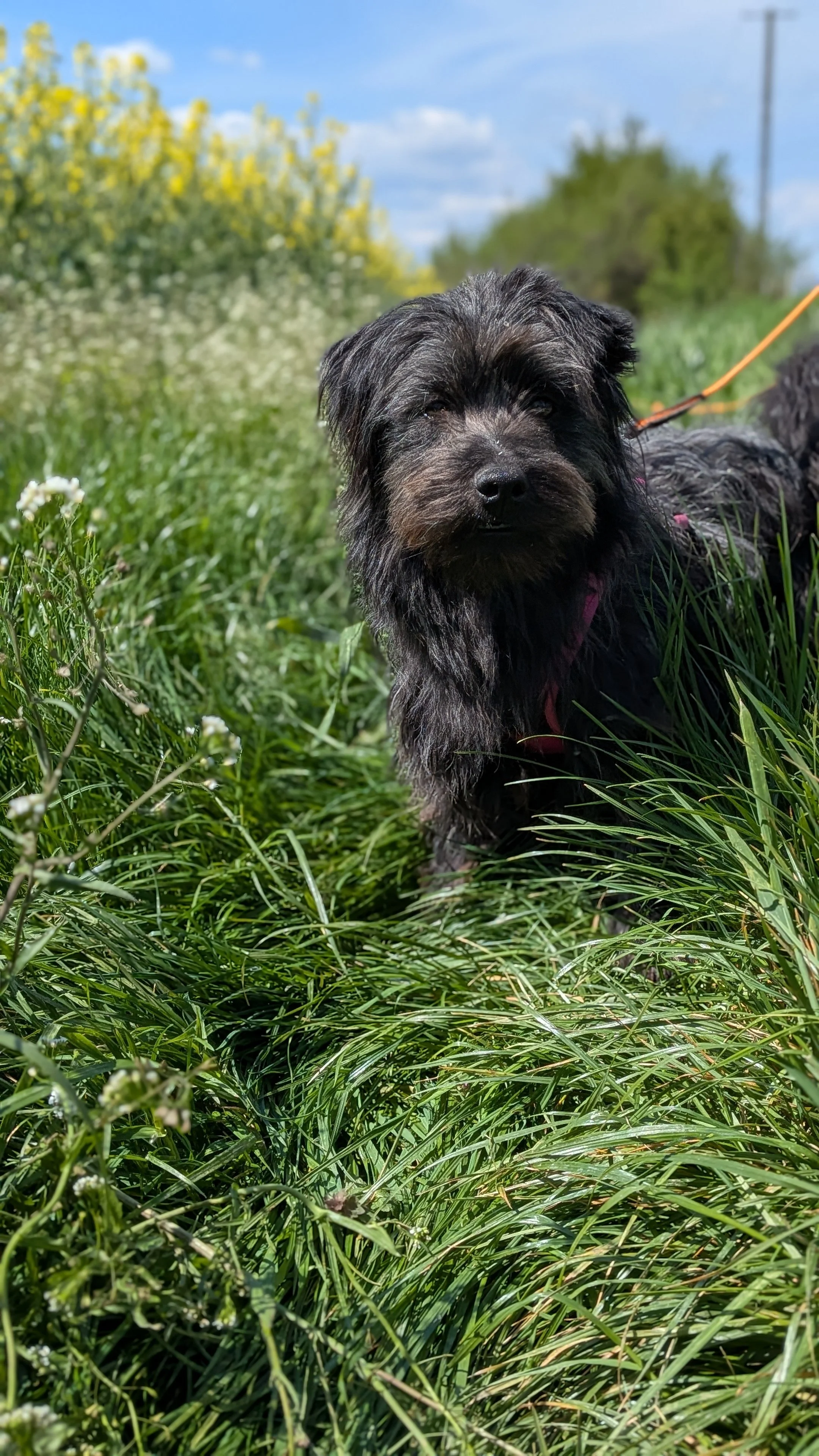 Ebbe_PXL_20260419_113623075.PORTRAIT.jpg