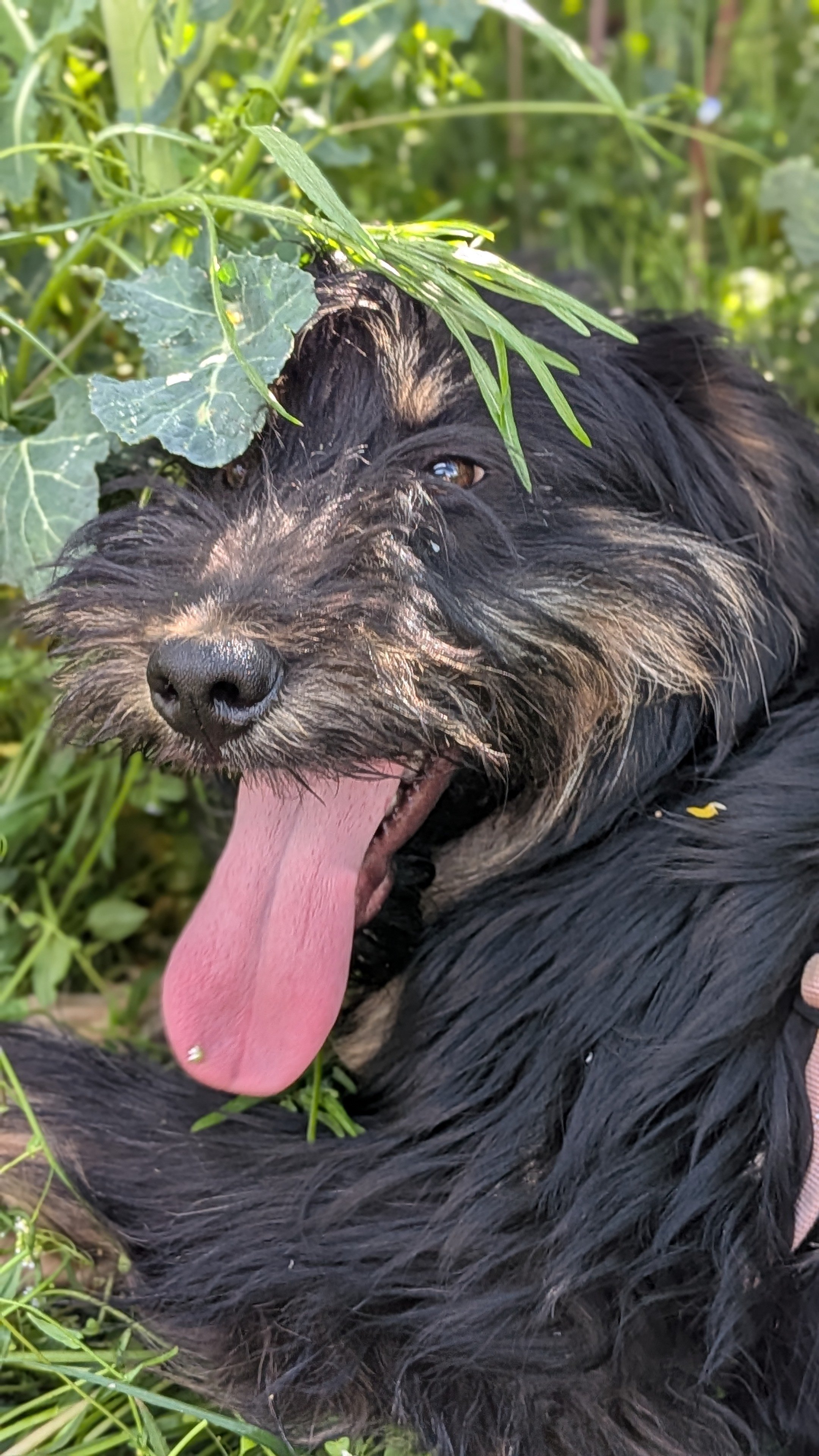 Tibbe_PXL_20260419_124118072.PORTRAIT.jpg