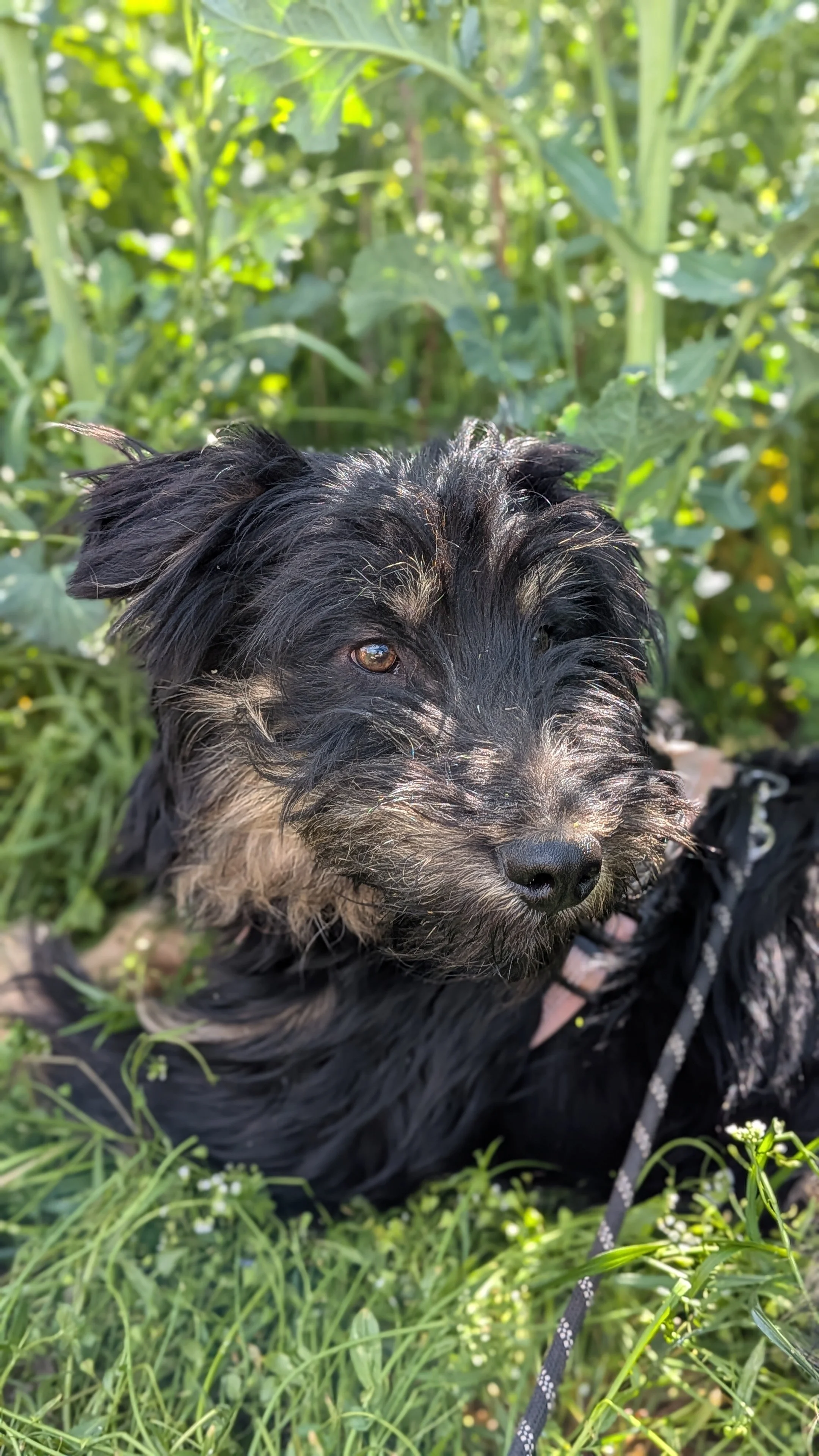 Tibbe_PXL_20260419_124222950.PORTRAIT.jpg