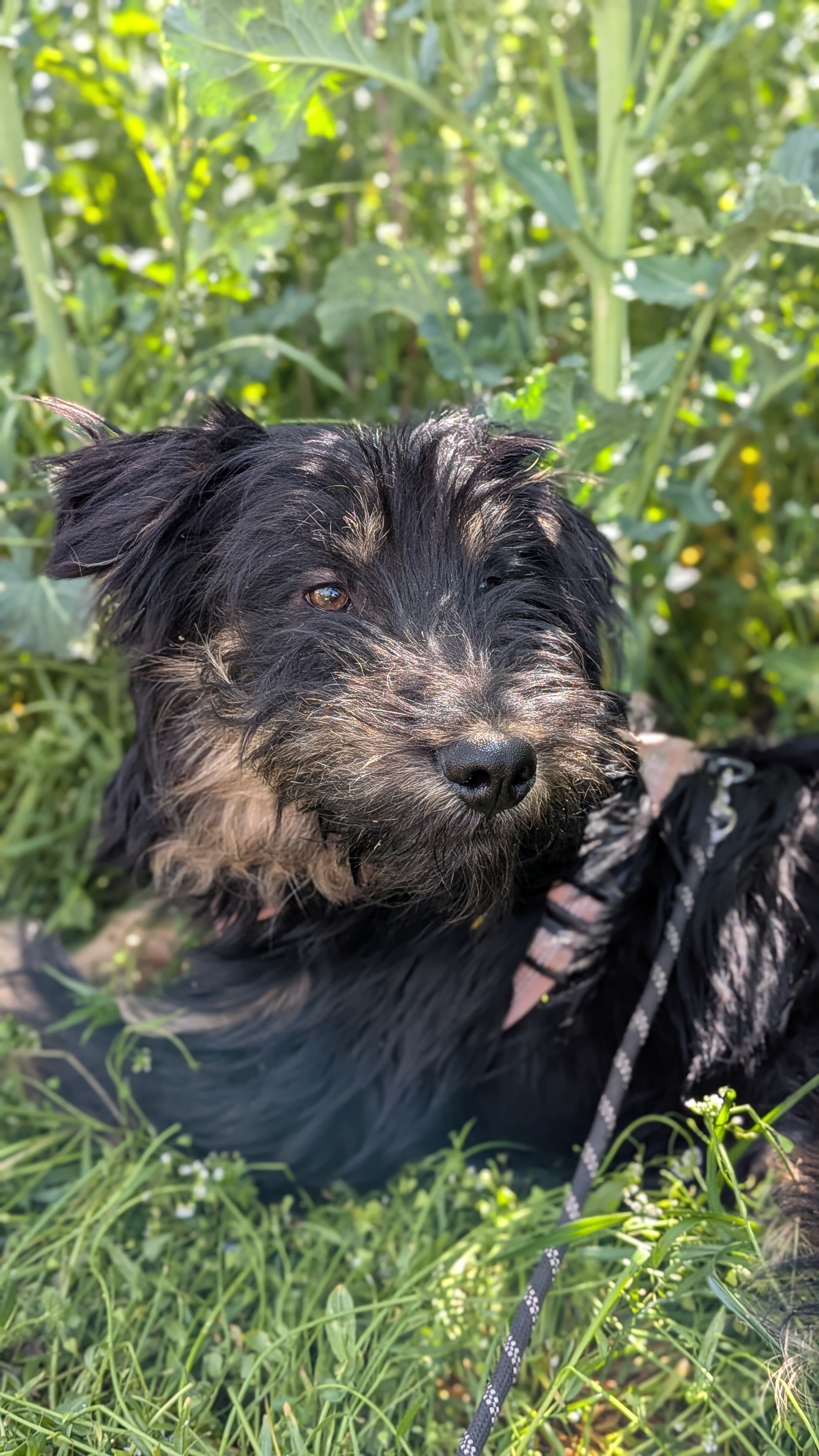 Tibbe_PXL_20260419_124224634.PORTRAIT.jpg