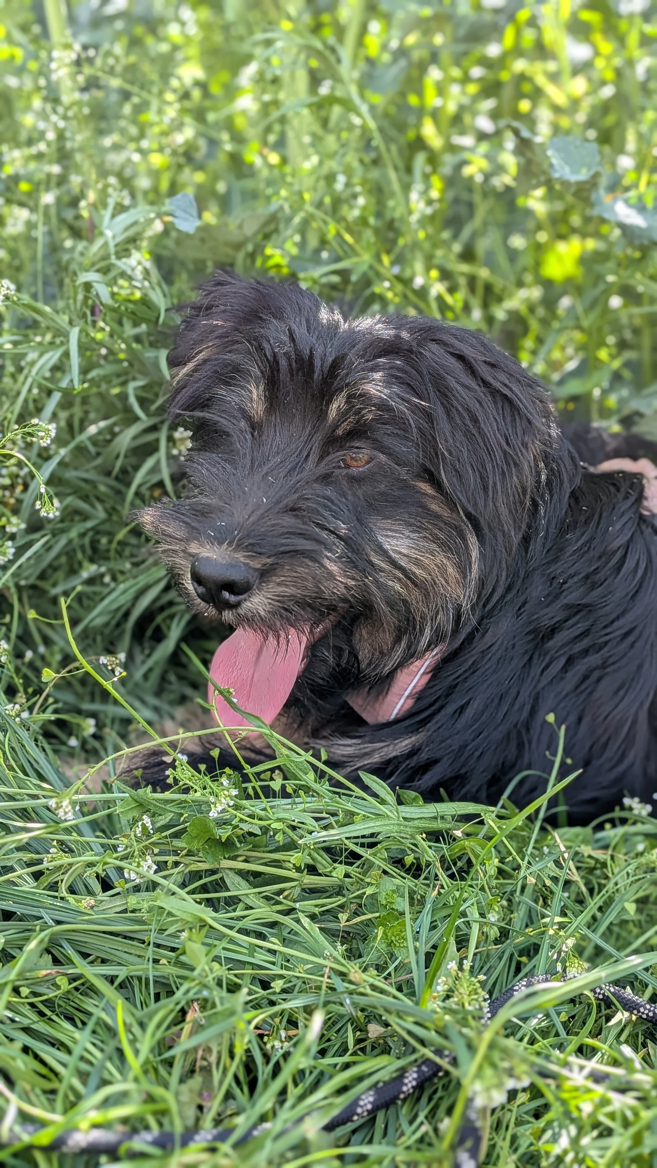Tibbe_PXL_20260419_124427060.PORTRAIT.jpg