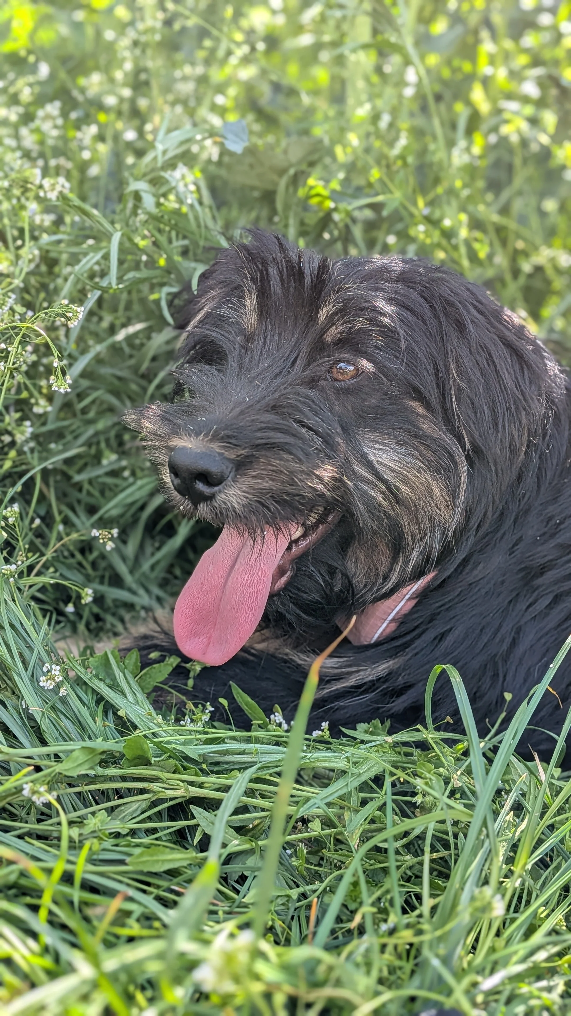 Tibbe_PXL_20260419_124436667.PORTRAIT.jpg