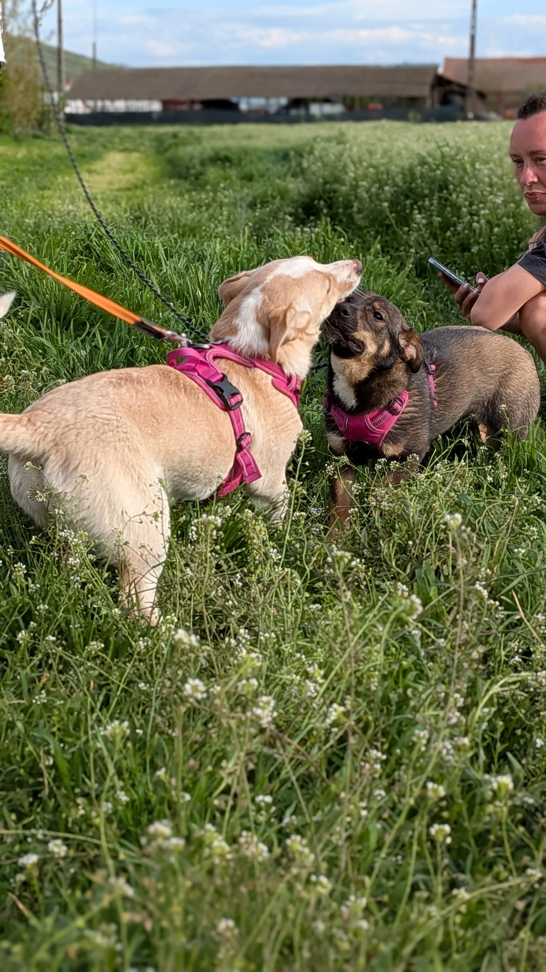 Ella & Greta_PXL_20260419_151945753.PORTRAIT.jpg