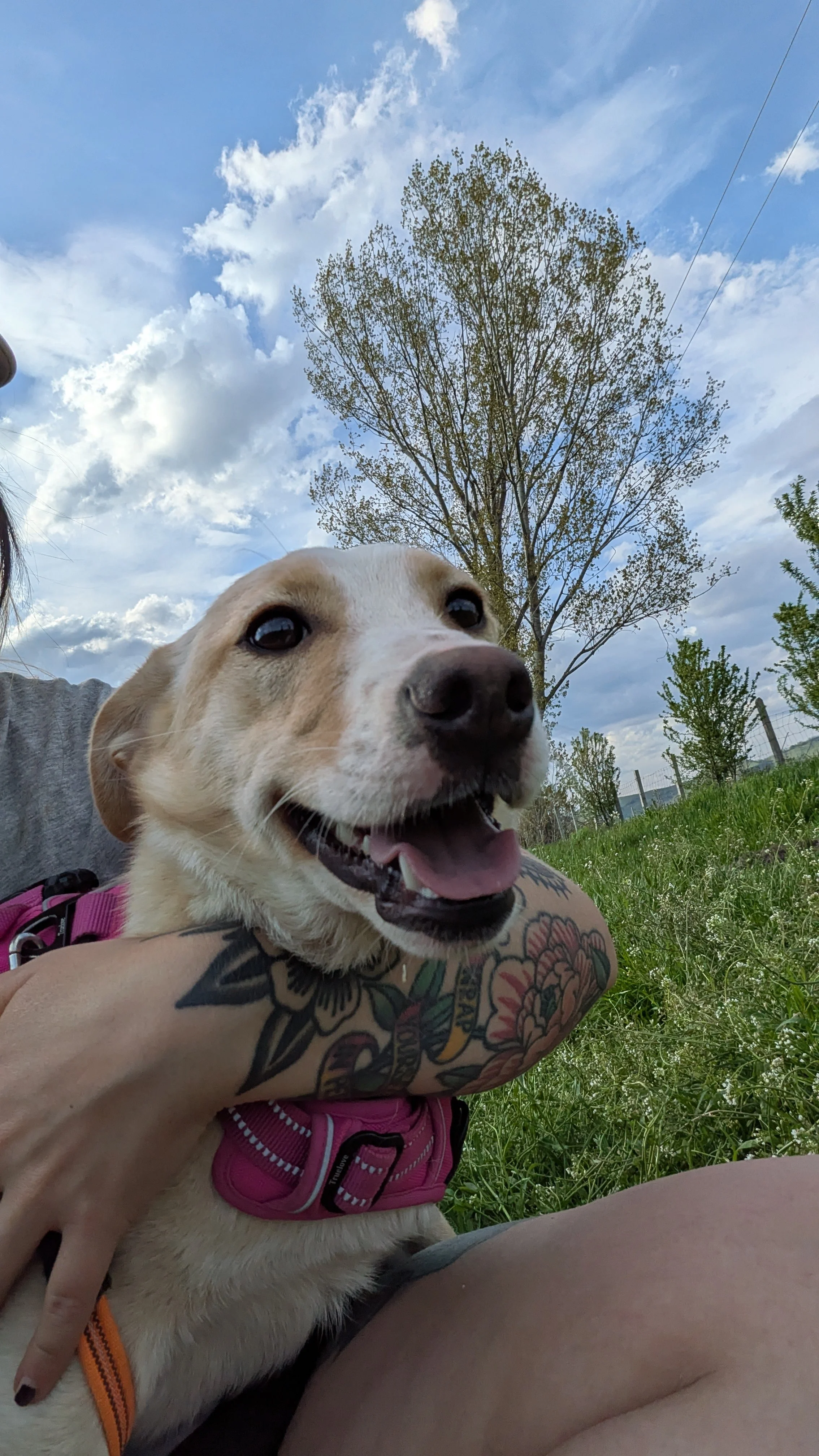 Ella_PXL_20260419_152254084.jpg