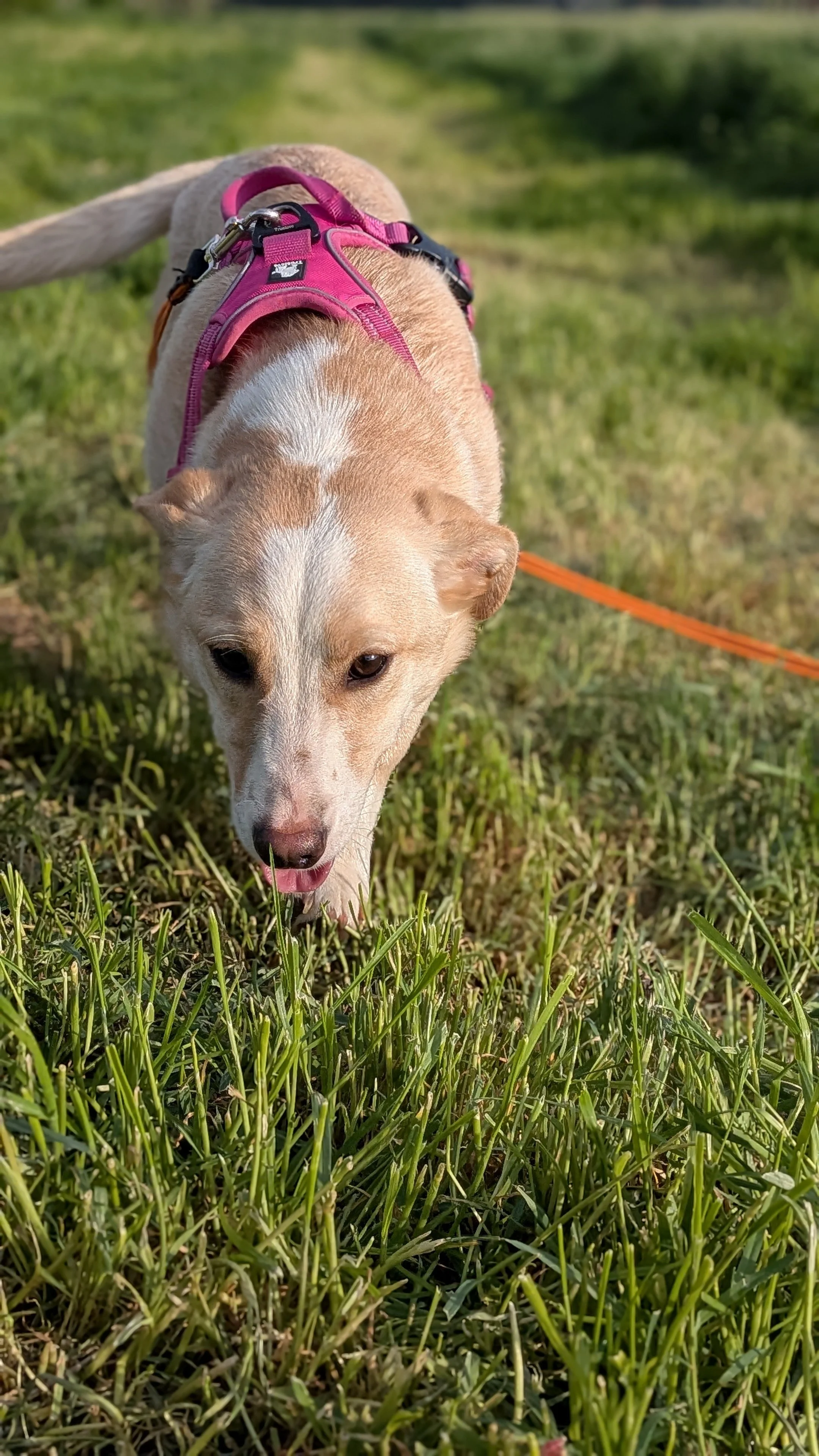 Ella_PXL_20260419_152517514.PORTRAIT.jpg