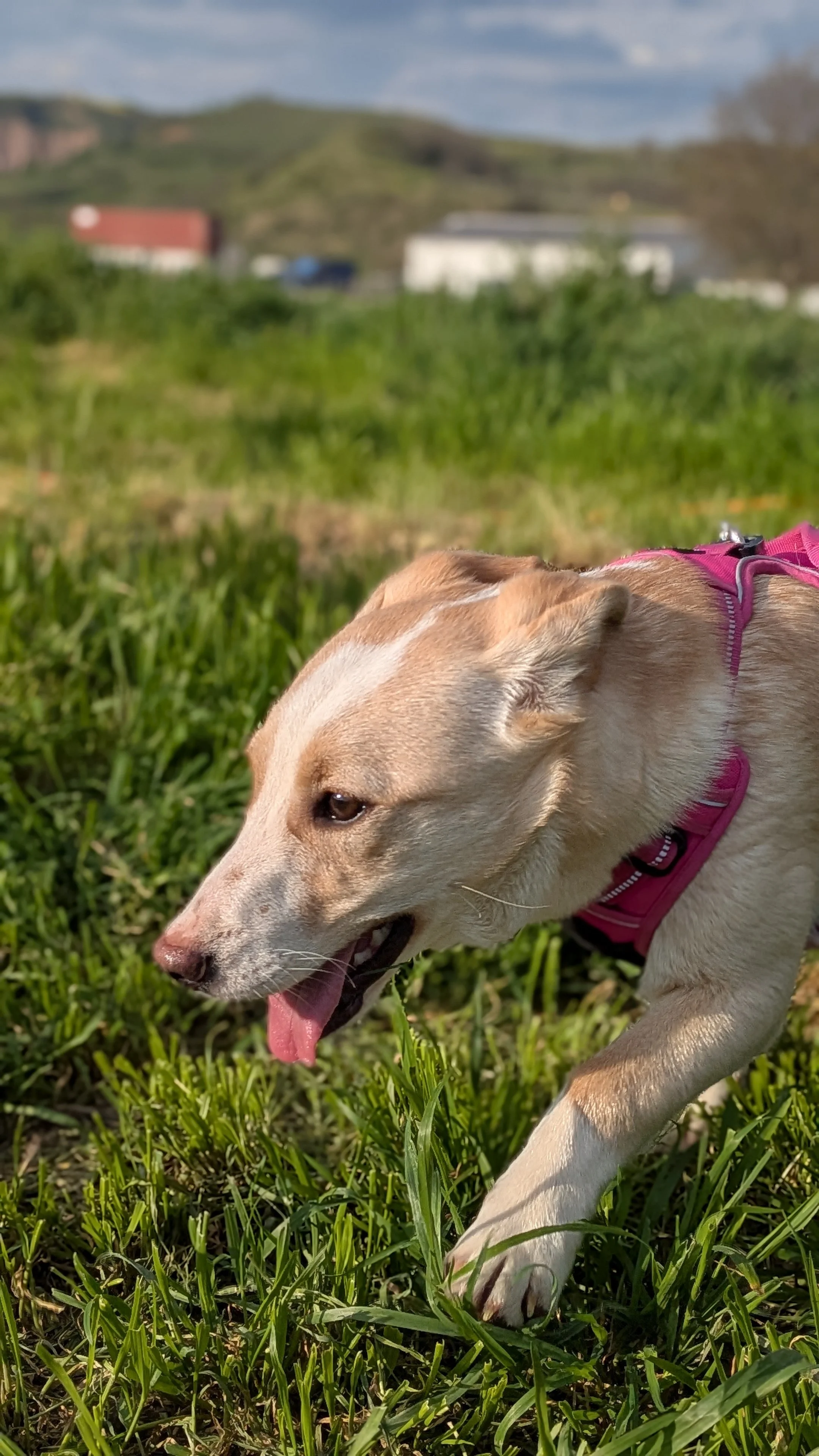 Ella_PXL_20260419_152542112.PORTRAIT.jpg
