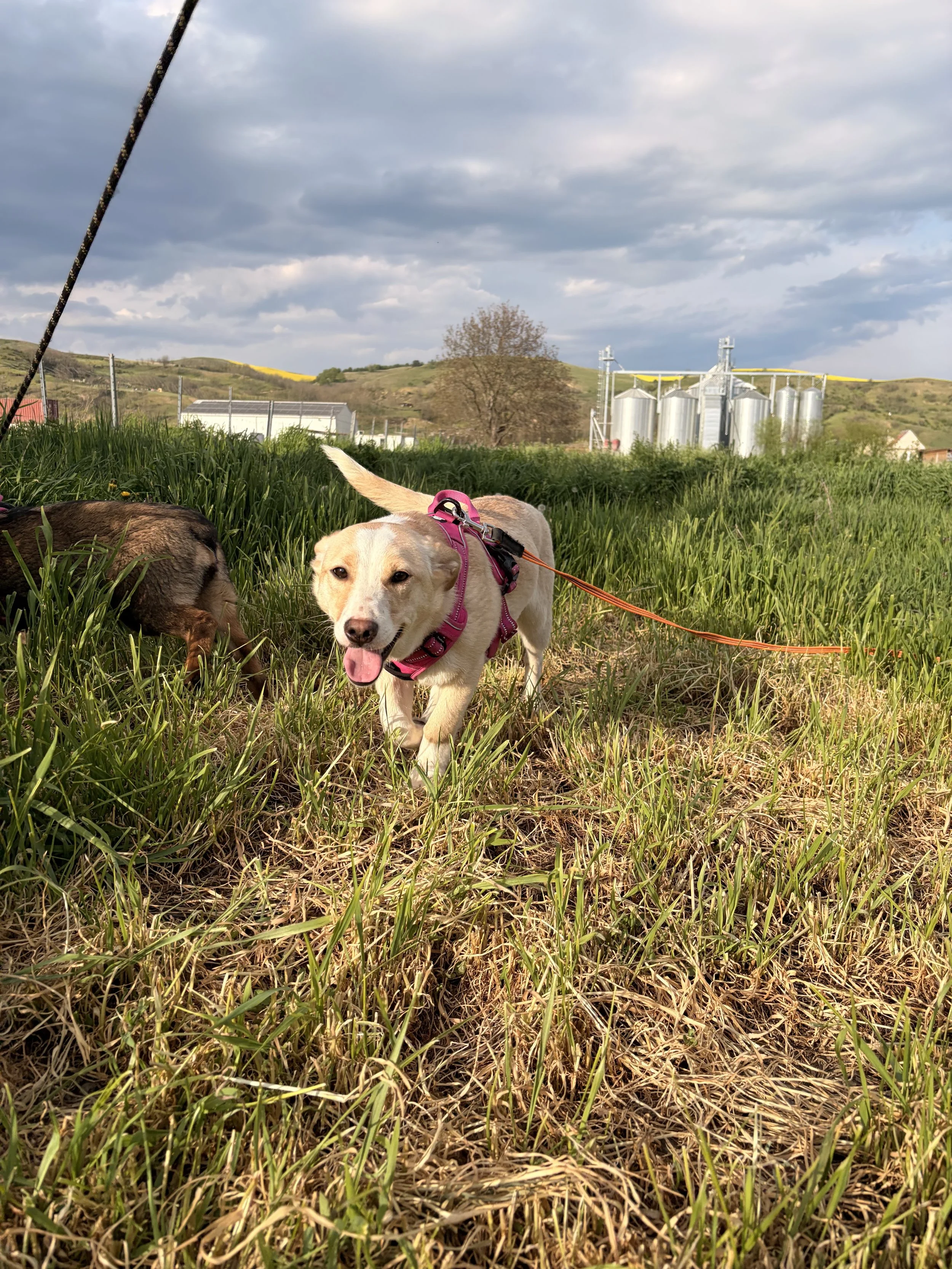 Ella_IMG_1788.jpg