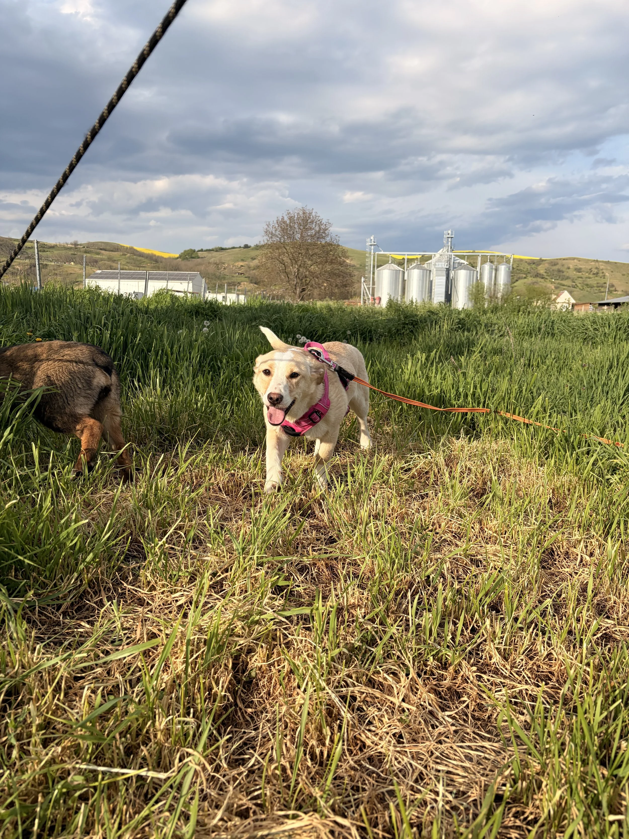Ella_IMG_1787.jpg