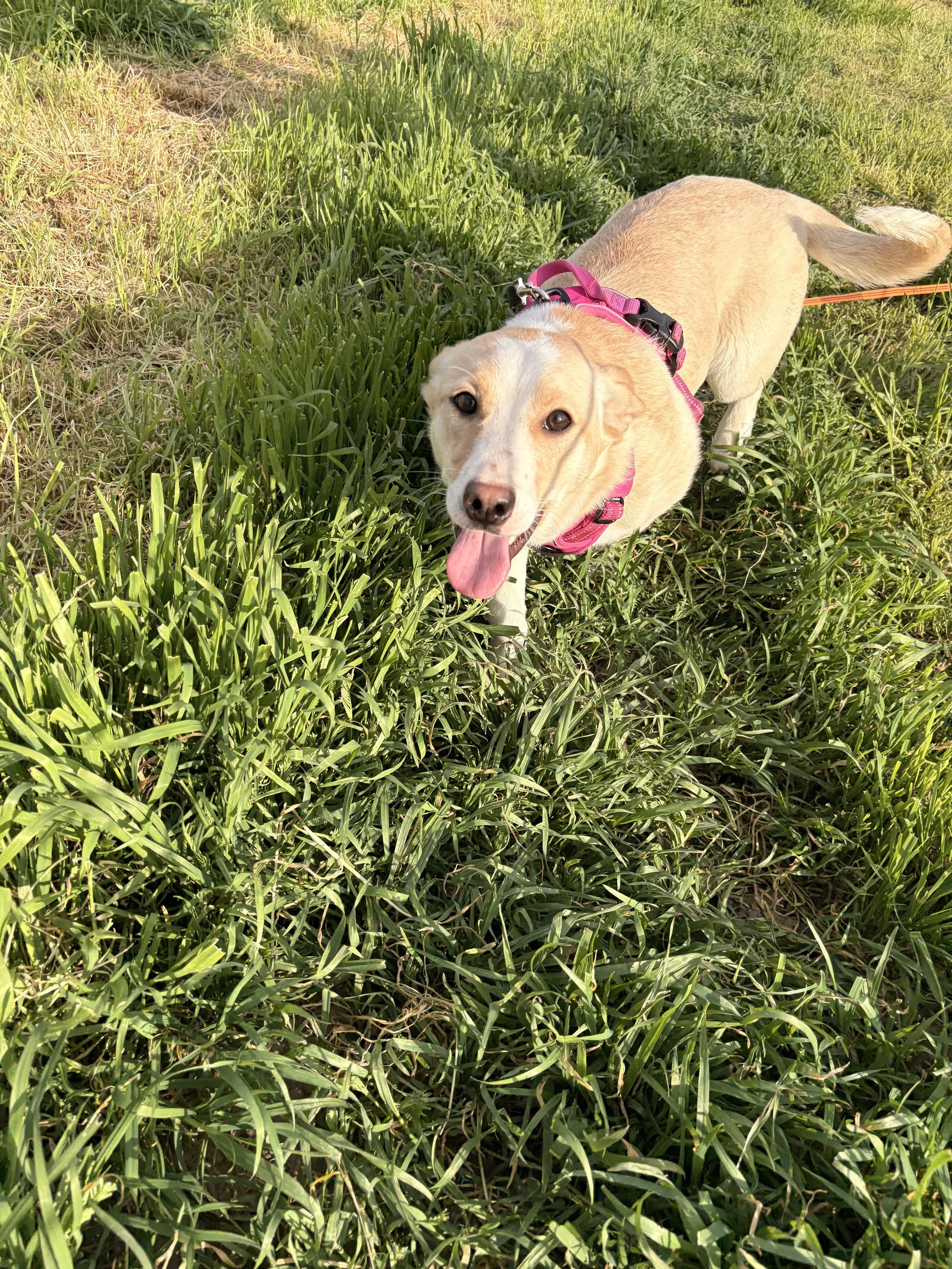 Ella_IMG_1790.jpg