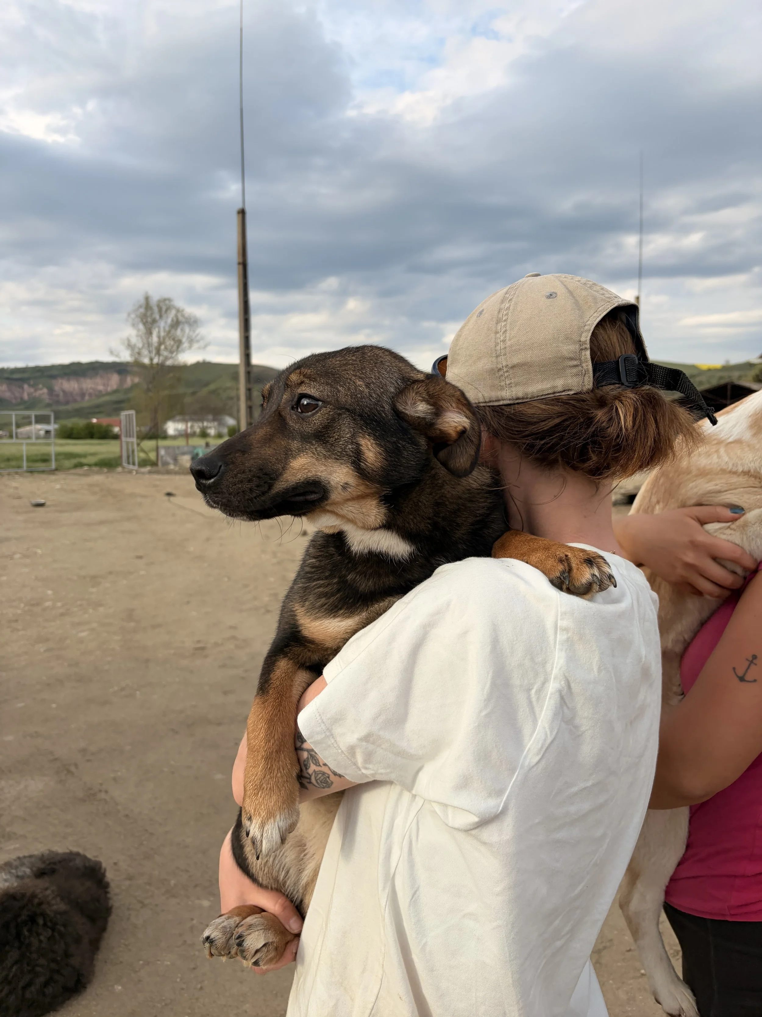 Greta_IMG_1812.jpg