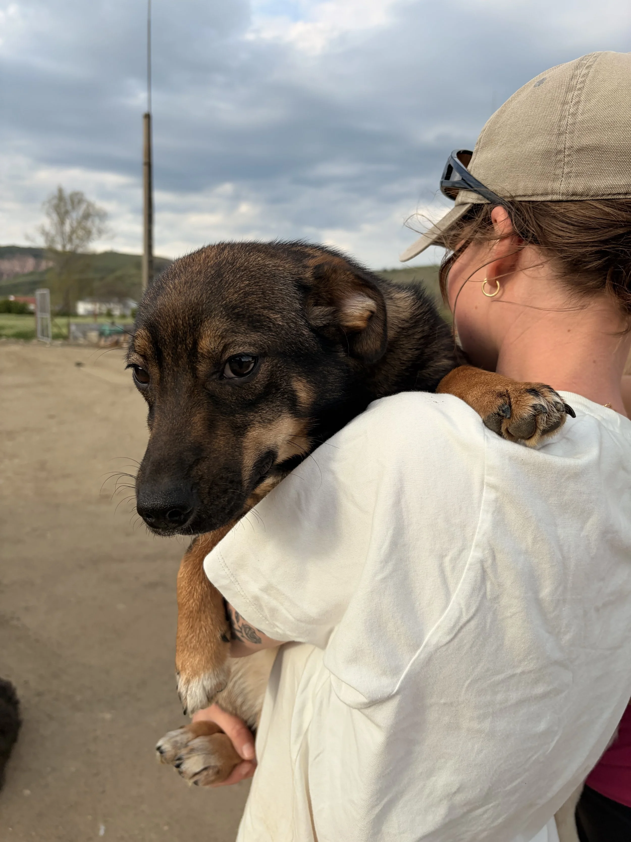 Greta_IMG_1814.jpg
