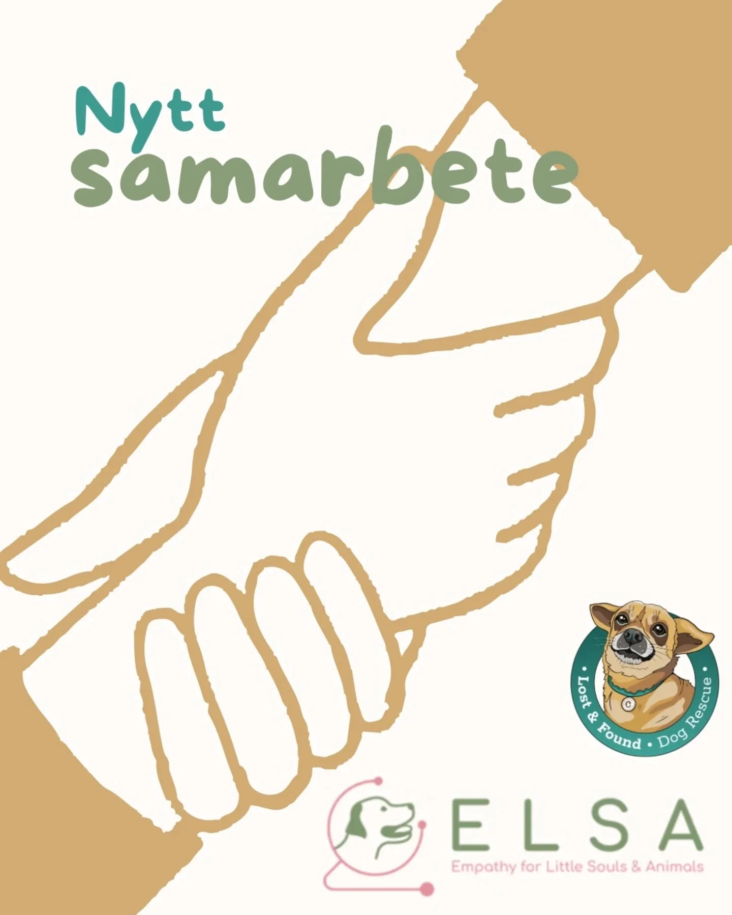 🩵 NYTT SAMARBETE 💚

F&ouml;r n&aring;gra veckor sedan tr&auml;ffade vi organisationen ELSA p&aring; plats i Rum&auml;nien, och det dr&ouml;jde inte l&auml;nge innan vi k&auml;nde att det h&auml;r var en organisation som ligger v&auml;ldigt n&auml;r
