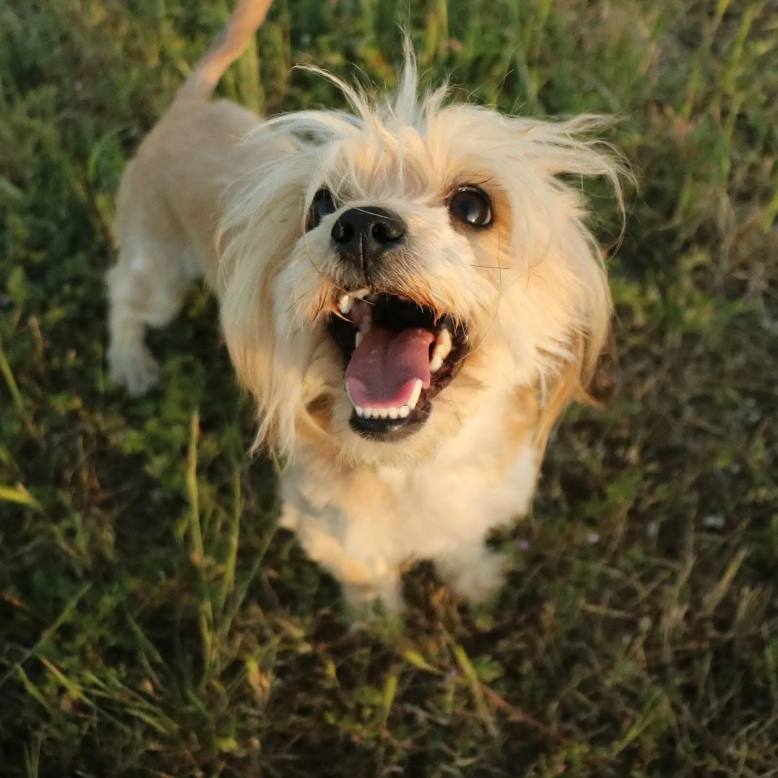 Lotti_5038a623b76aa05518f167475197cced.JPEG