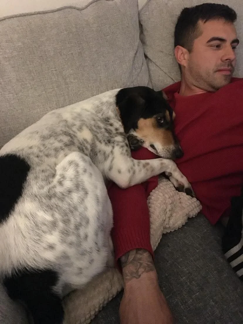 Sadie_image1.jpeg