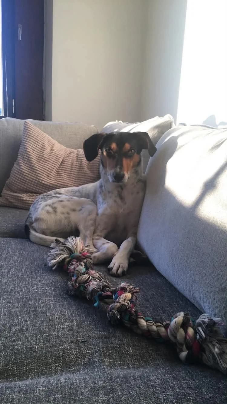 Sadie_image8.jpeg