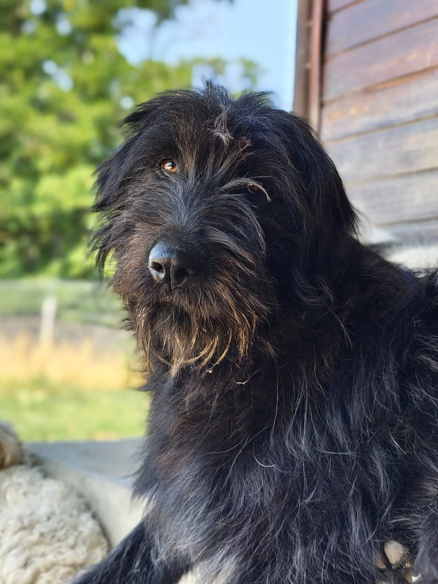 Fluffi