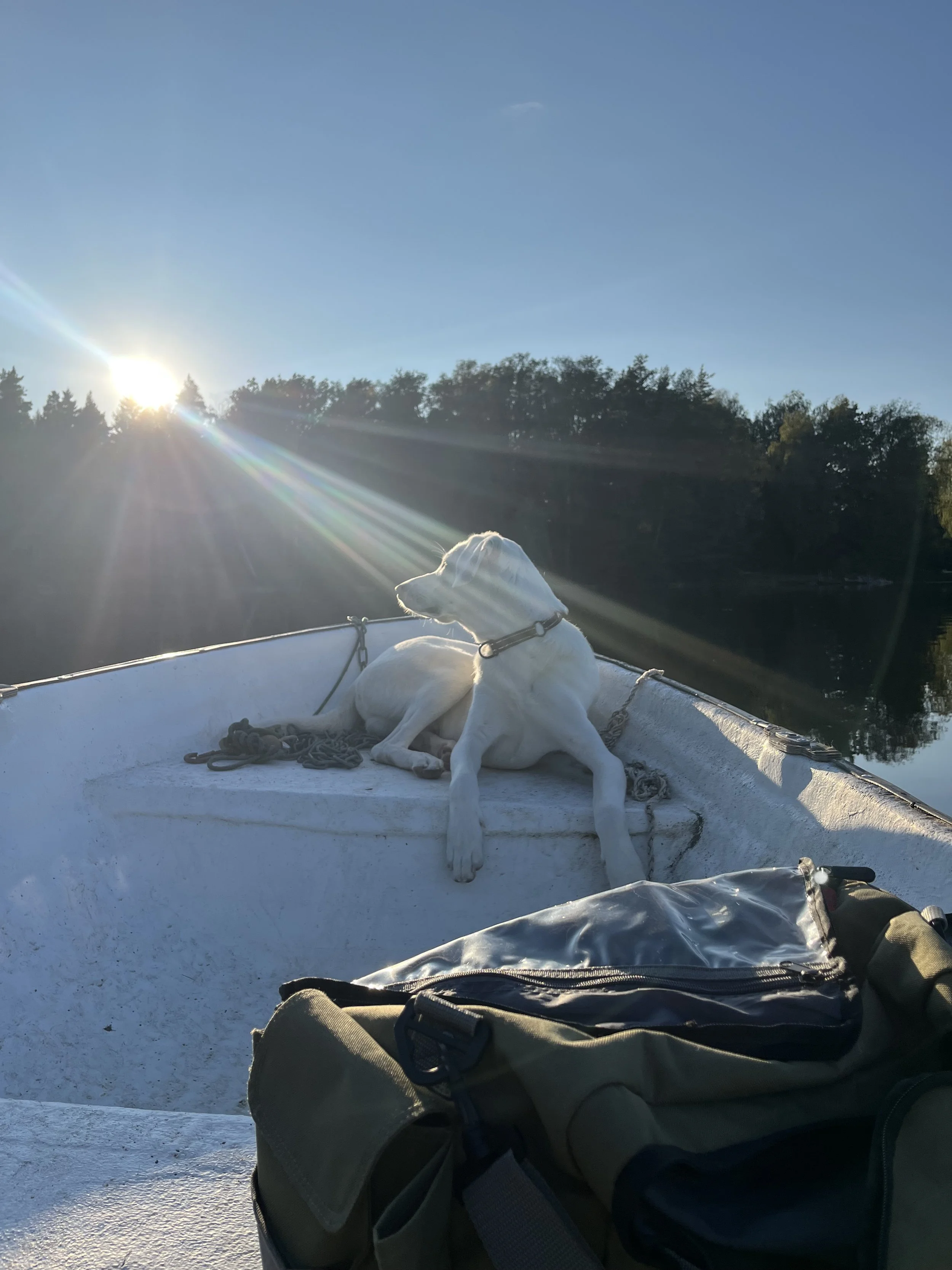 Akkoset_IMG_6498.jpeg