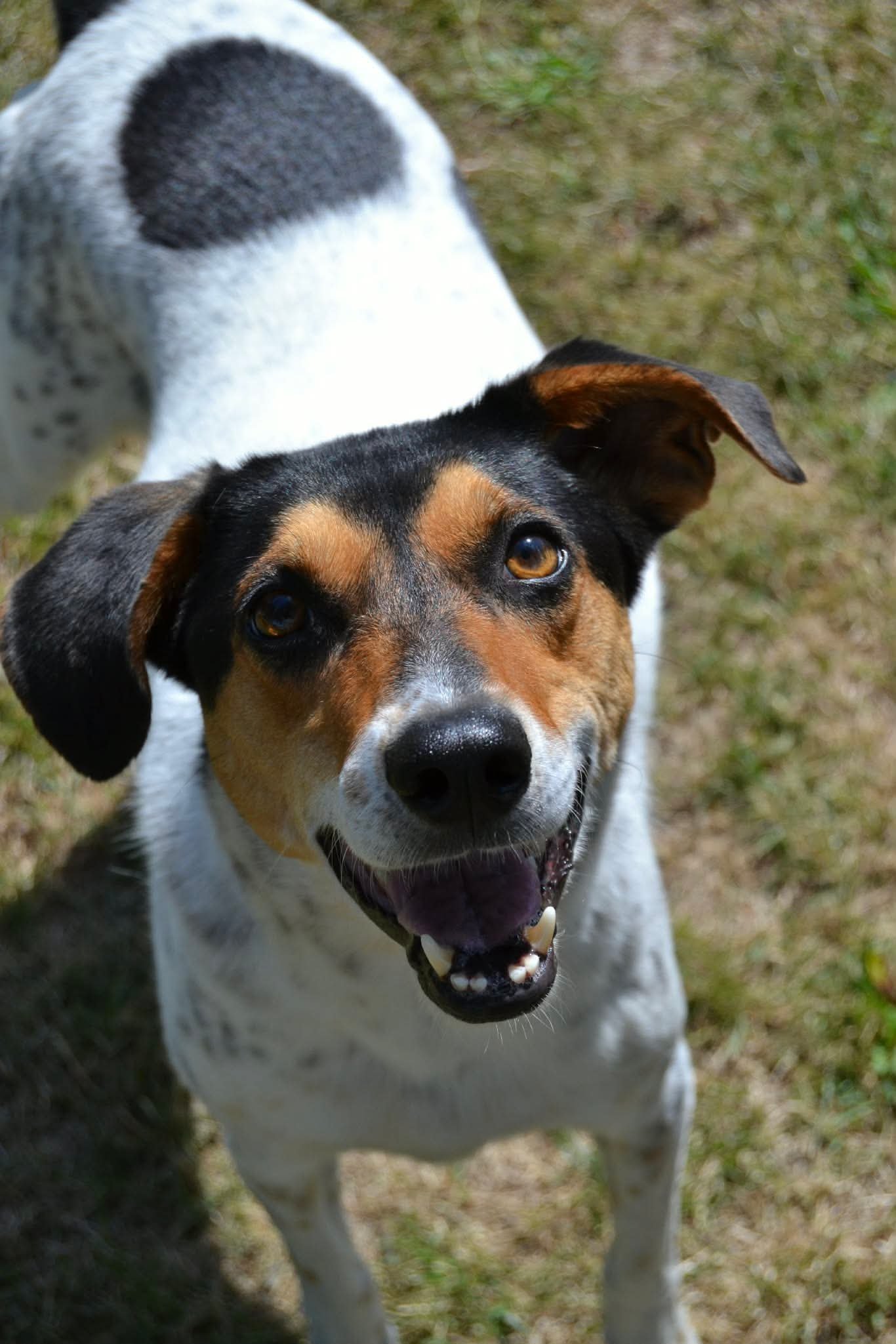 Sadie_5cc42d79d02ed30017e00c4964ead058.JPEG
