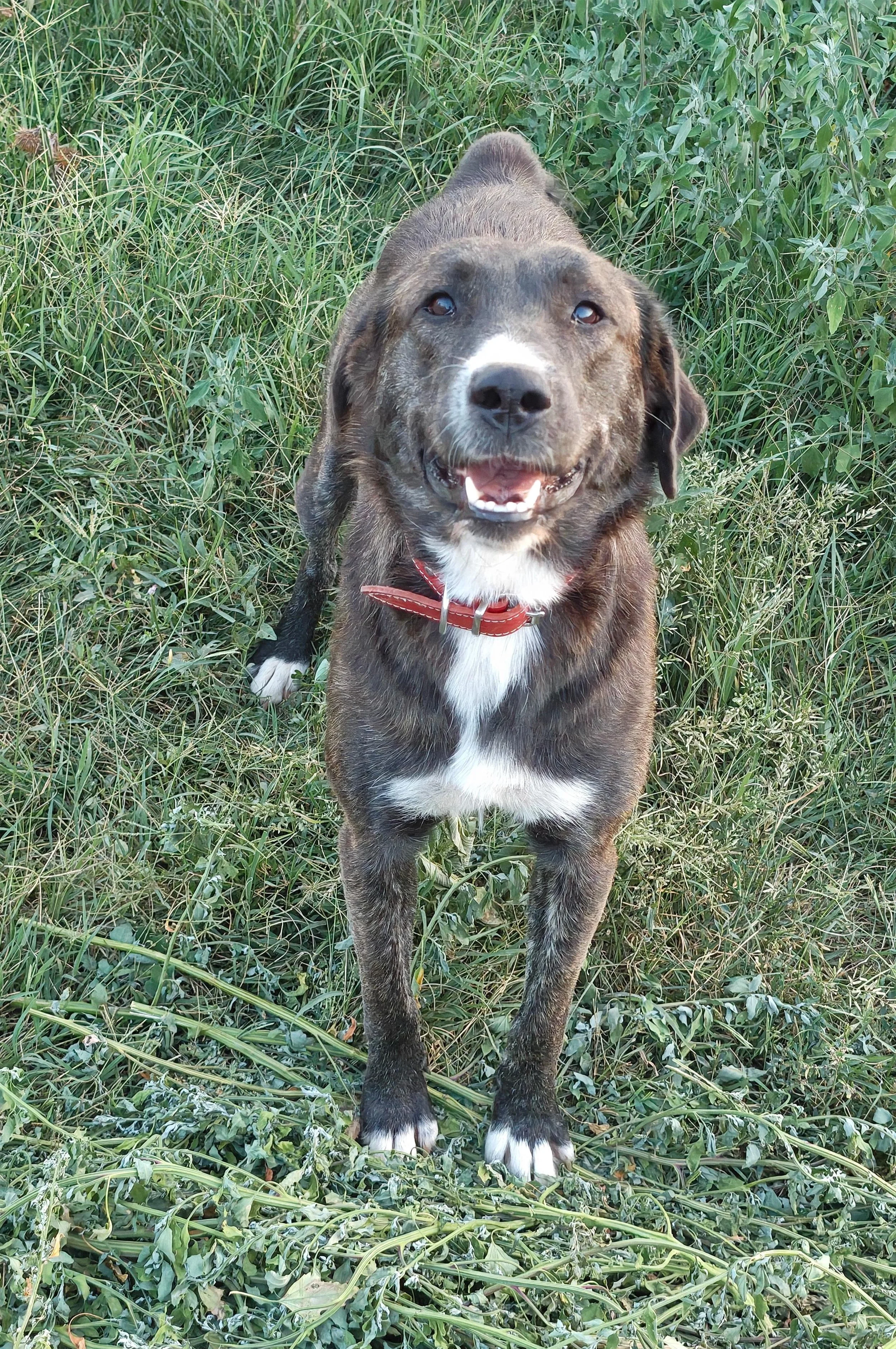 Gina_07e6235f-6818-4d78-969b-dbf04f776b54.JPG
