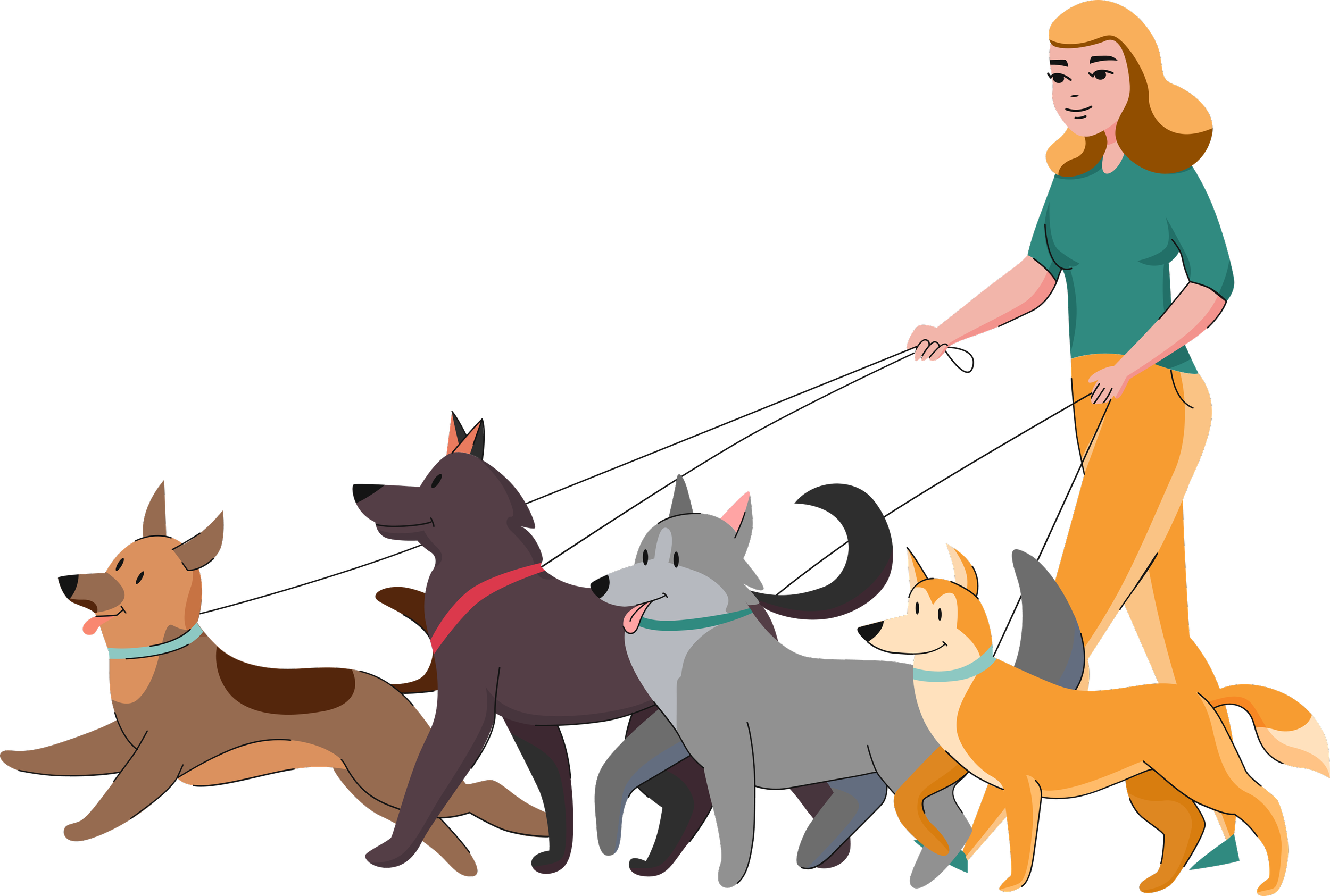 En kvinna går med fyra hundar på en promenad, var och en av hundarna är av olika ras och färg.