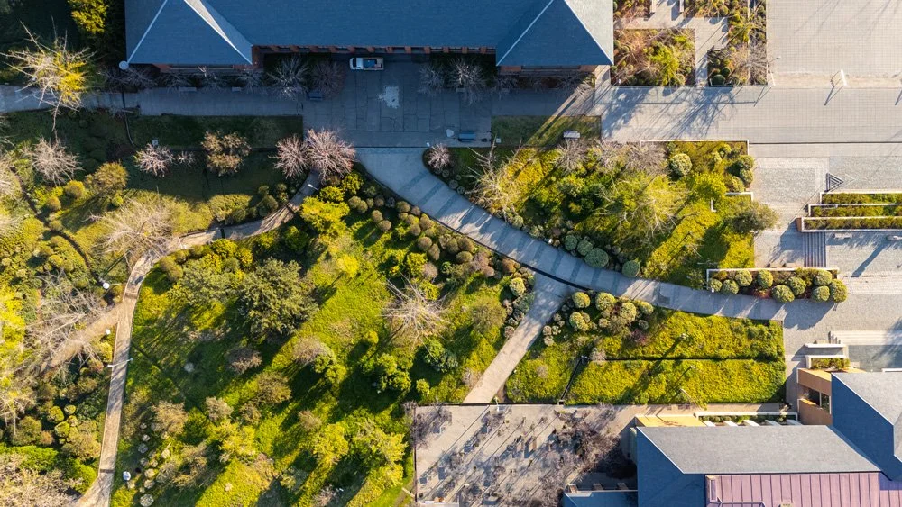 Universidad de los Andes