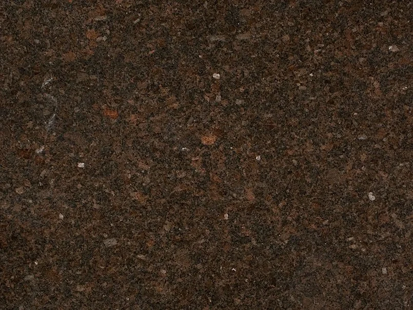 Slab of Coffee Brown Granite