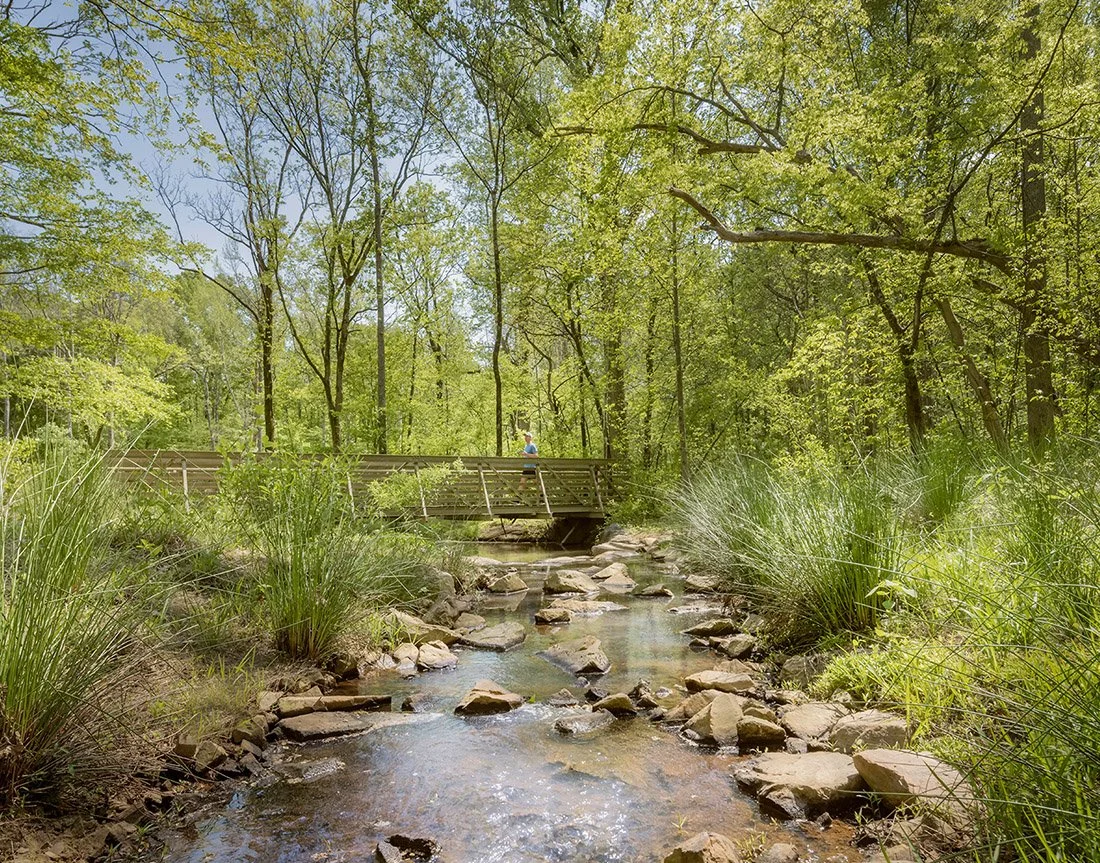 Why is Stream Restoration a Climate + Community Win? 