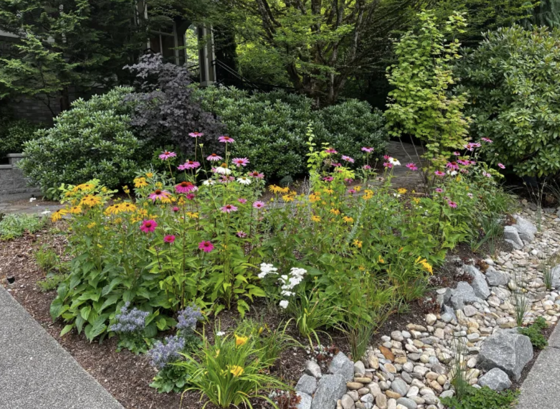 Pollinator Gardens: Small Spaces, Big Climate Impact&nbsp;