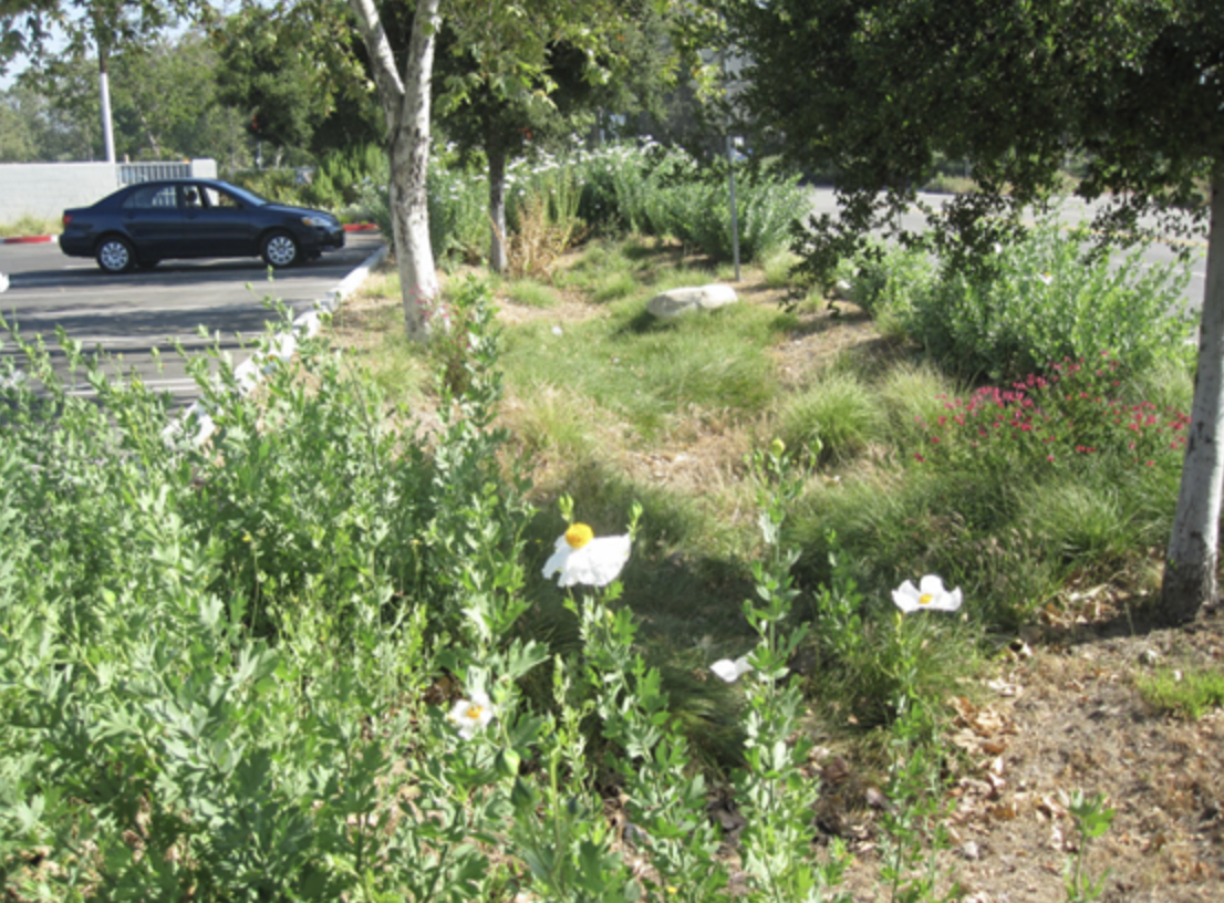 Don't Just Retrofit the Building — Rethink the Parking Lot.