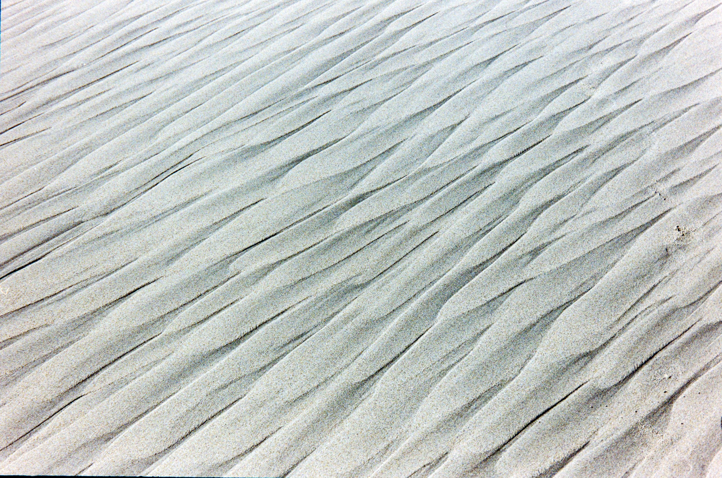 LoSereno-32.jpg