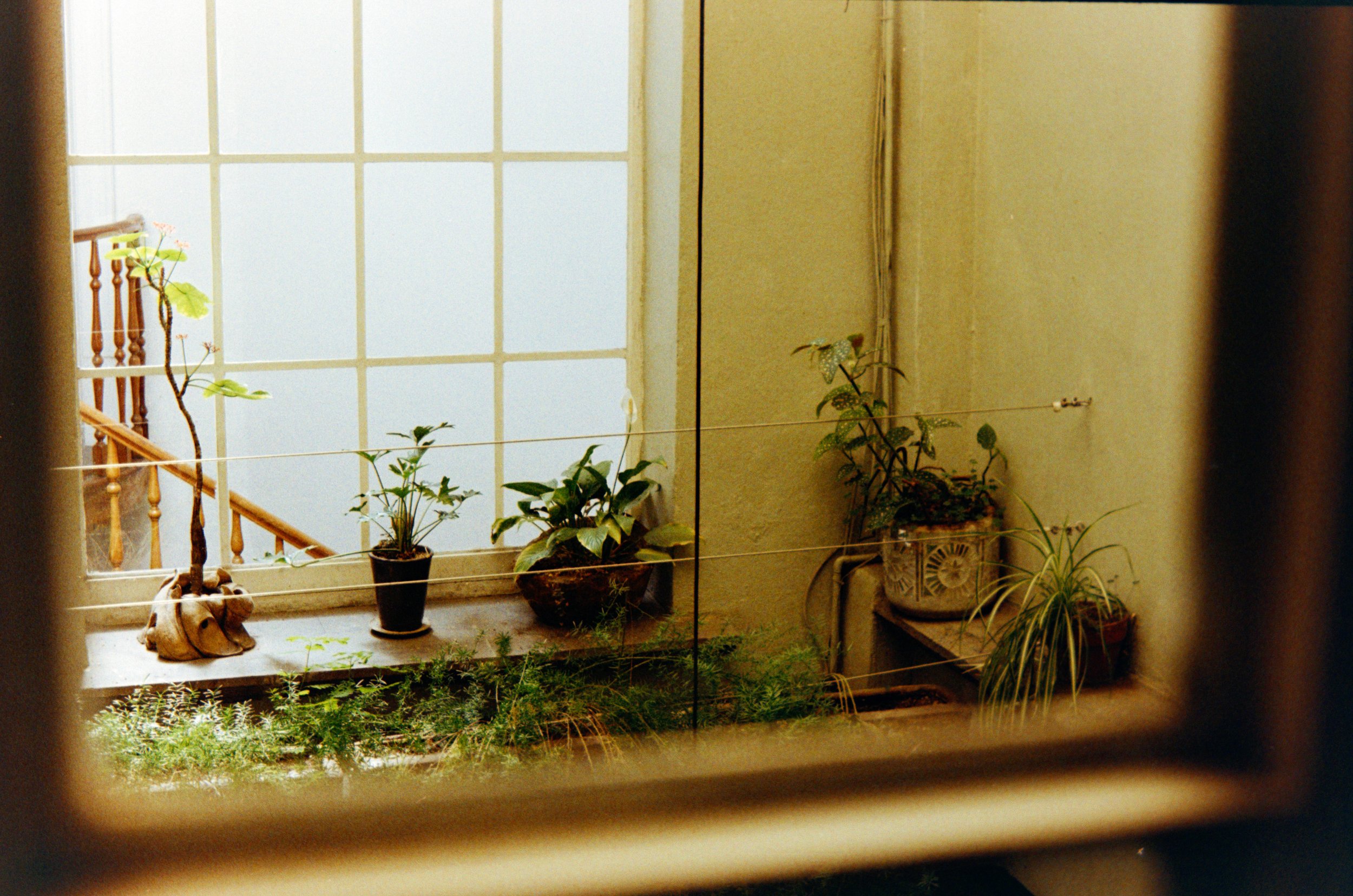 patio-7.jpg