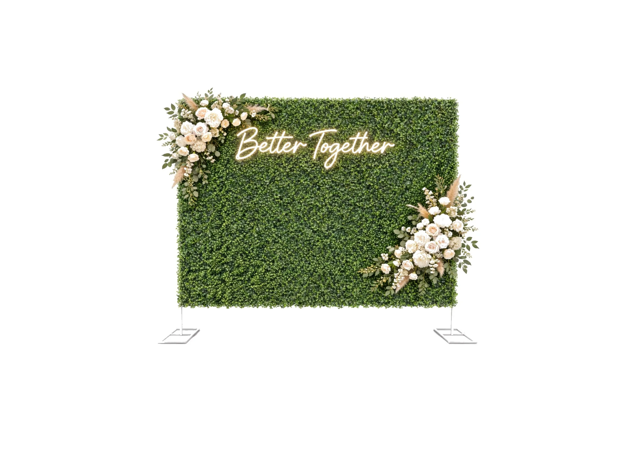 backdrop_green_standardized2.jpg