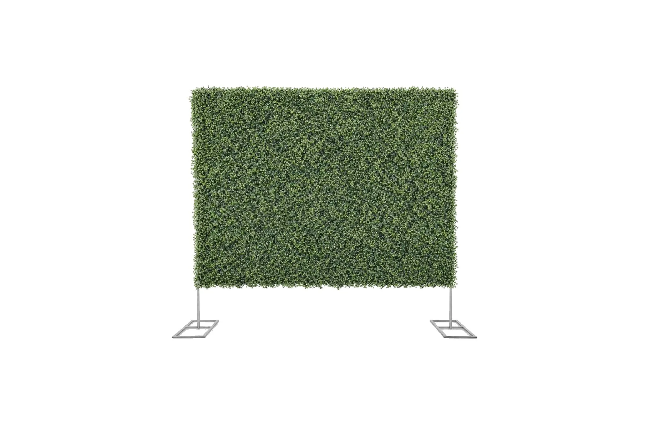 green_wall_white.jpg