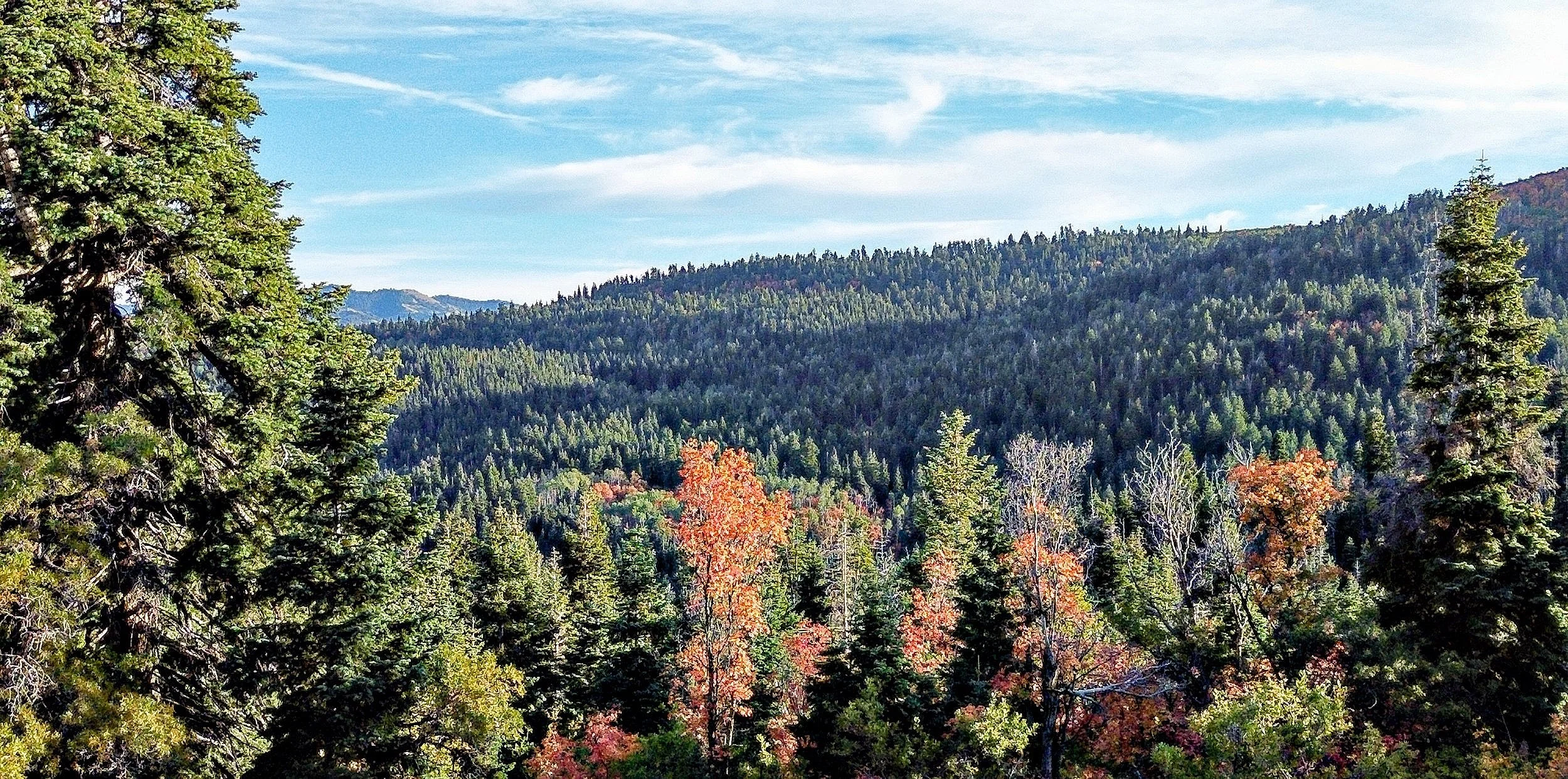 E. Canyon drone pic.jpg