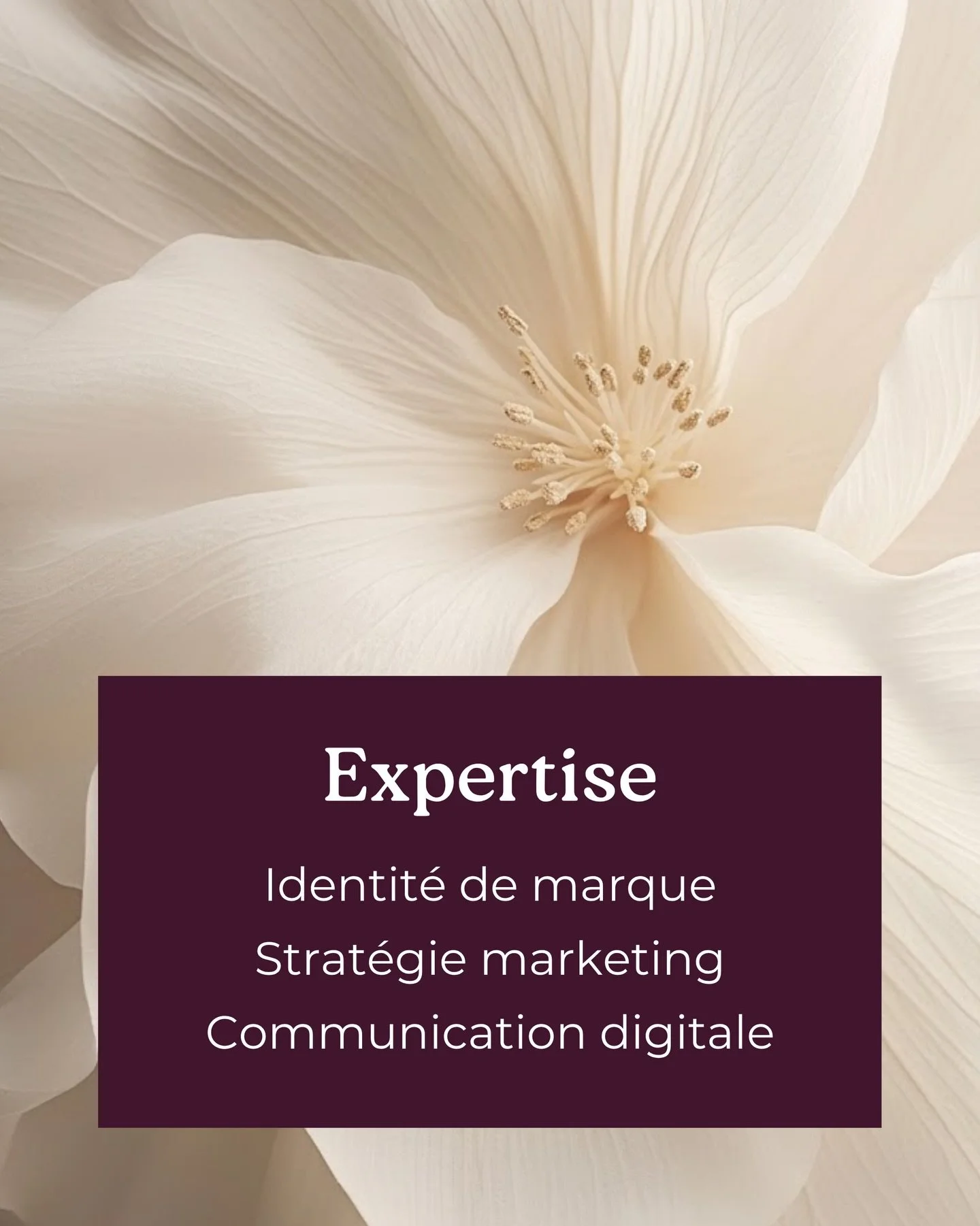 Nous accompagnons les entreprises sur l&rsquo;ensemble de leur strat&eacute;gie marketing, de la construction de leur identit&eacute; jusqu&rsquo;&agrave; leur visibilit&eacute; en ligne. Chaque service est pens&eacute; sur-mesure, con&ccedil;u pour 