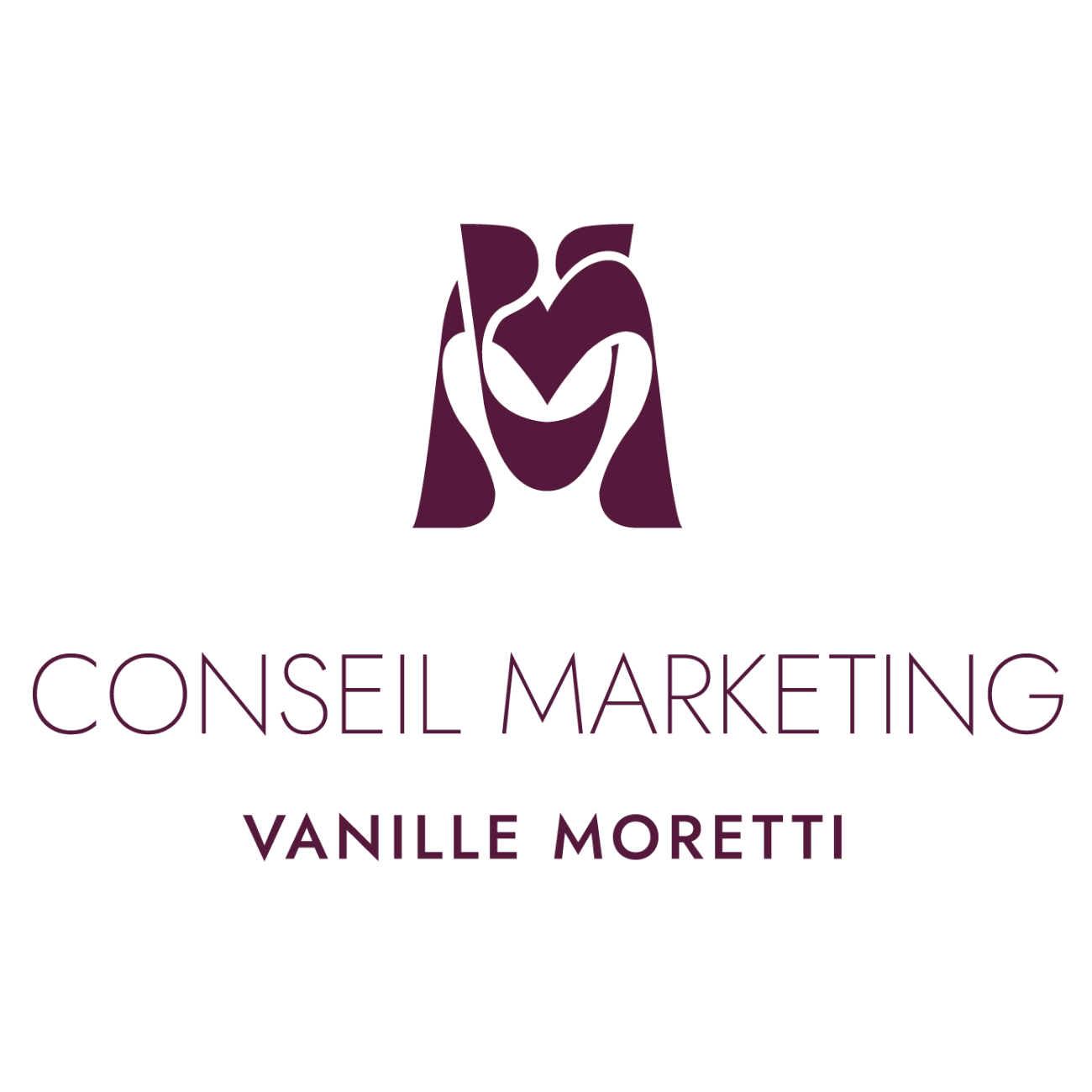 Logo vm conseil marketing