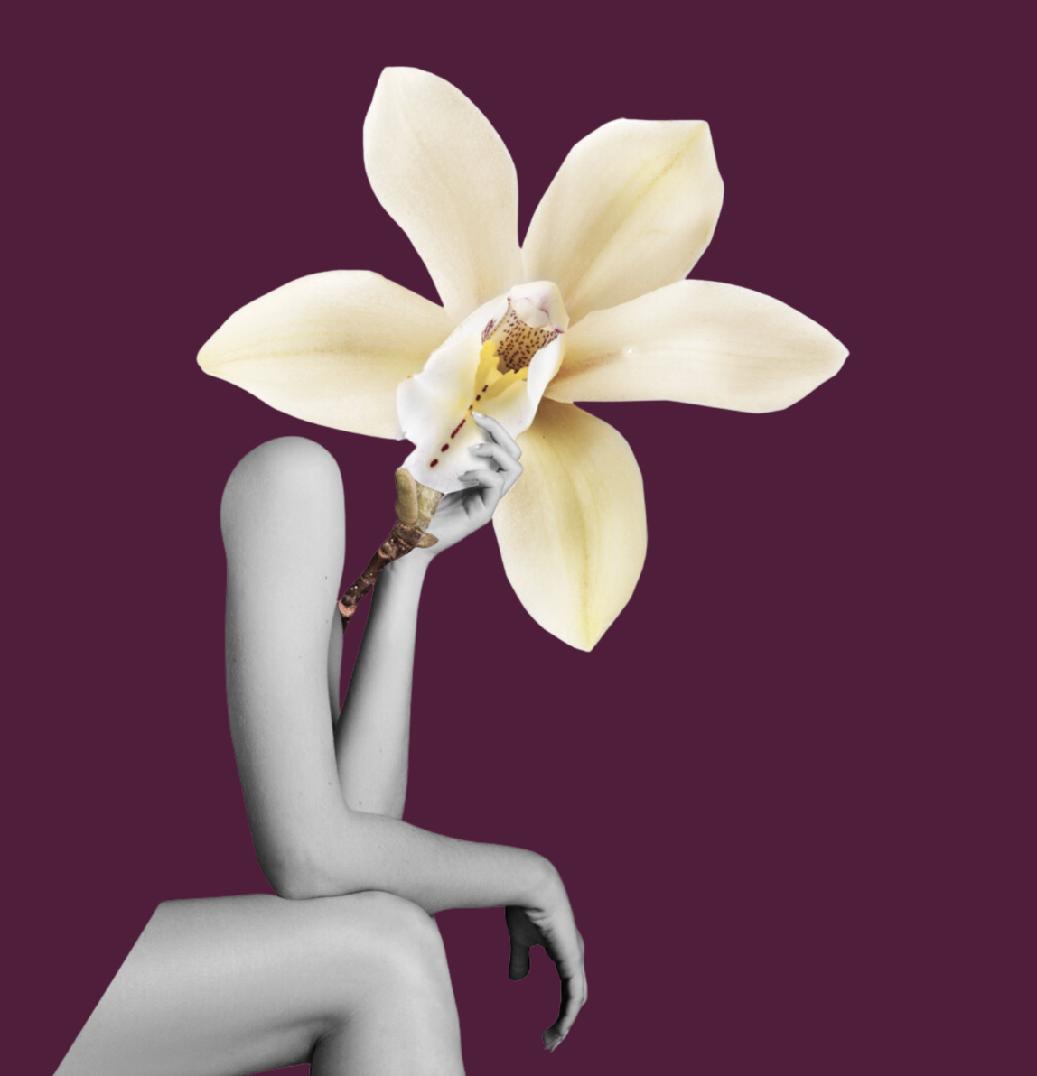 fleur de vanille